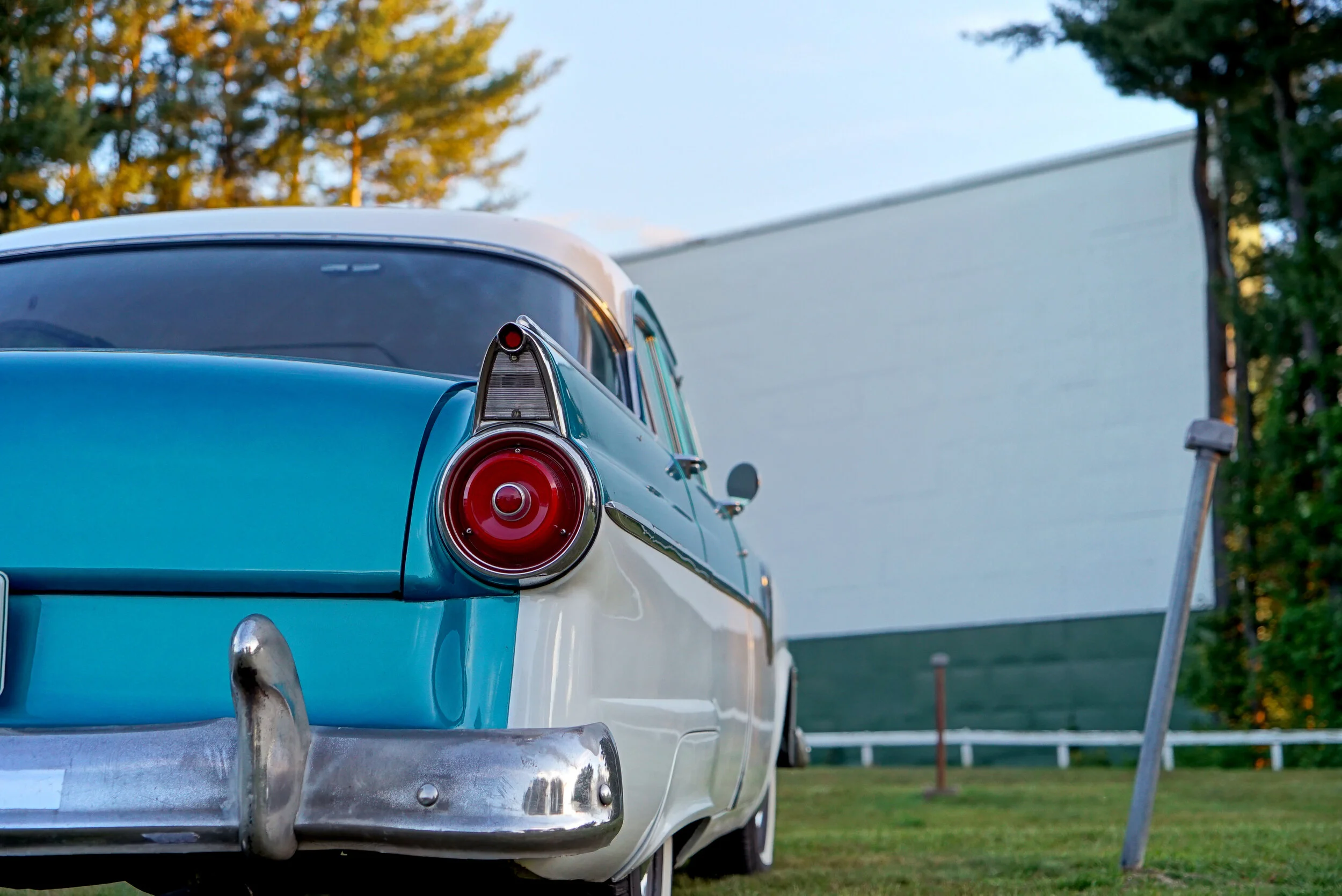  Drive-in movies made a comeback. 