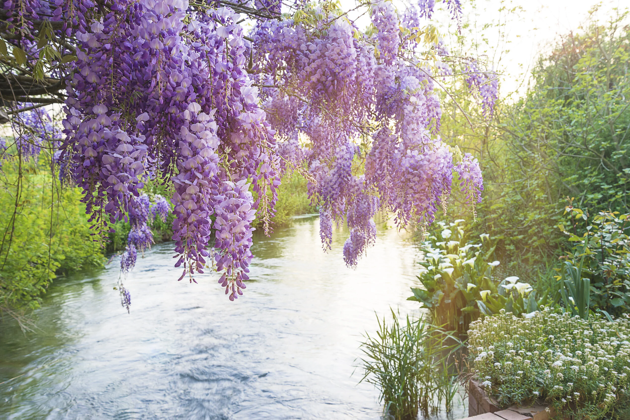 Spring has Sprung