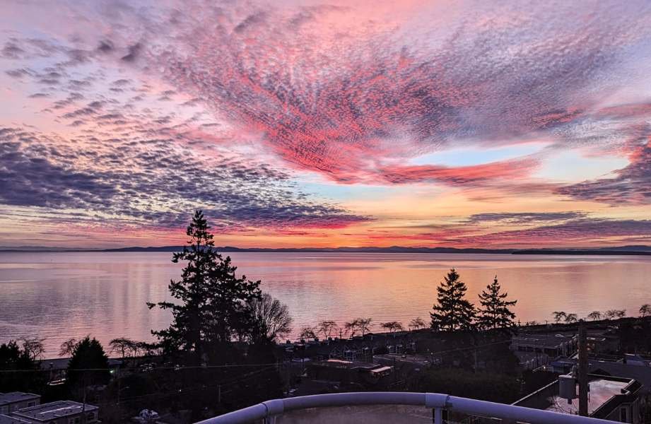 Hamish Ross White Rock Real Estate Agent