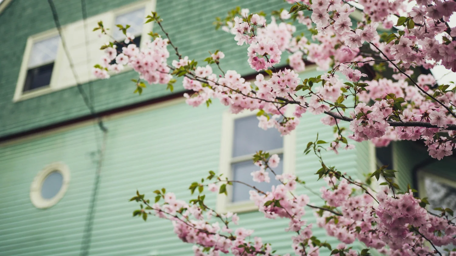 Tips for First-Time Buyers This Spring