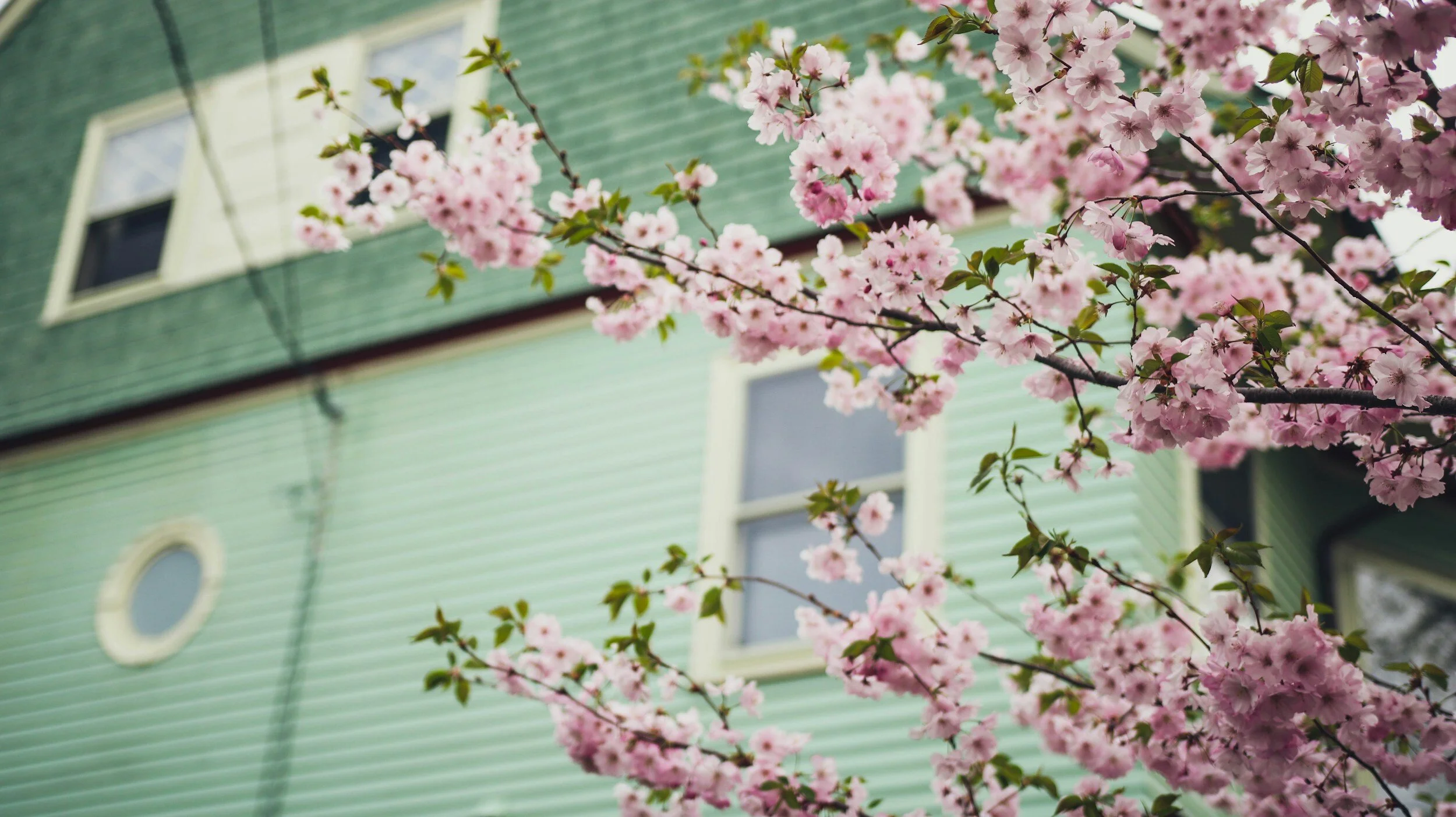 Tips for First-Time Buyers This Spring