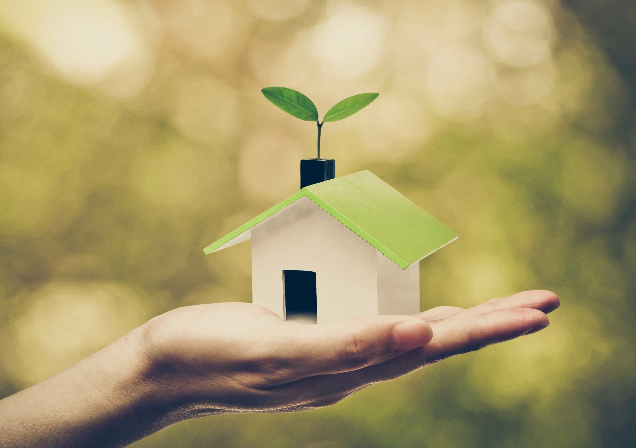 Energy Efficiency Programs for White Rock Homeowners