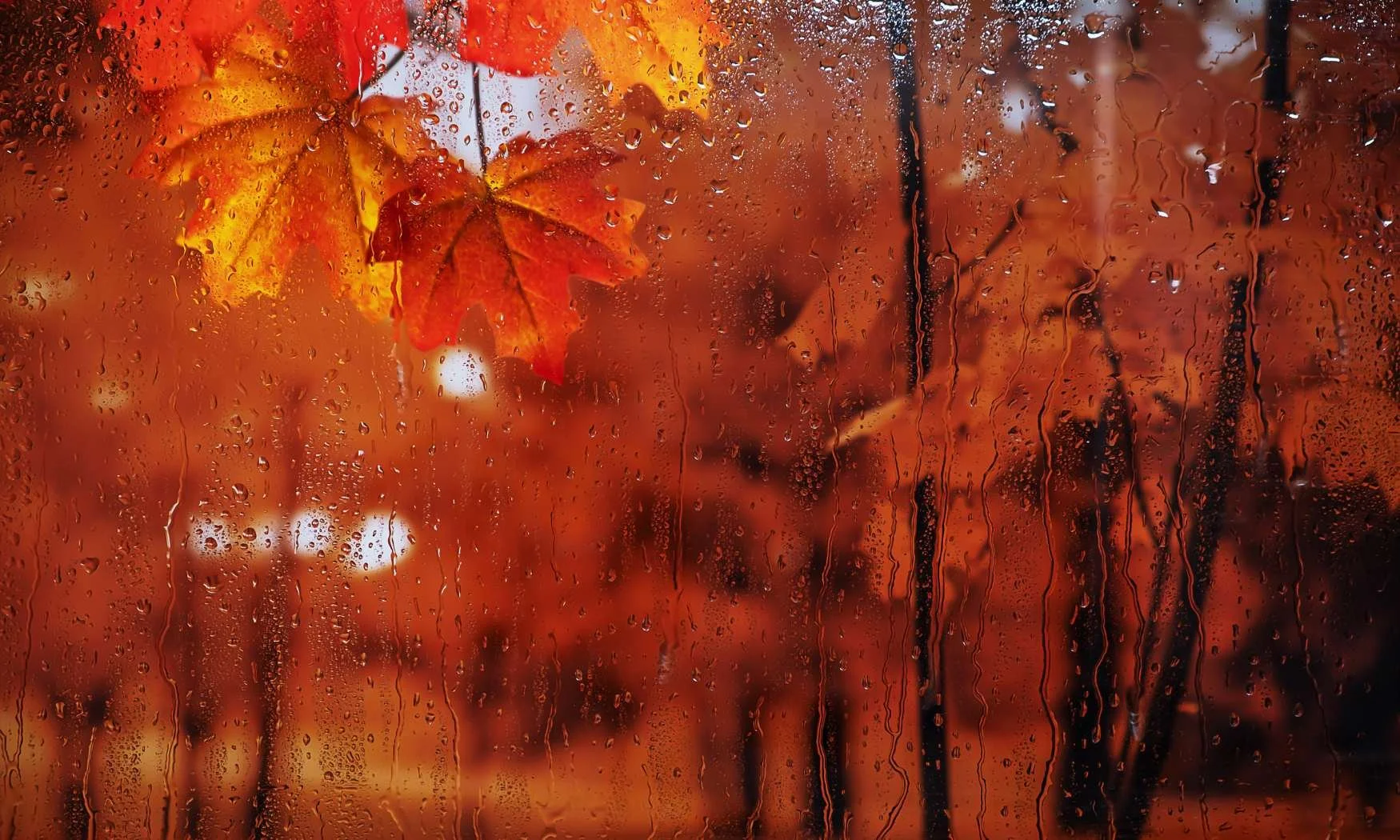 Embracing Winter Sales: White Rock Real Estate in Rainy Weather