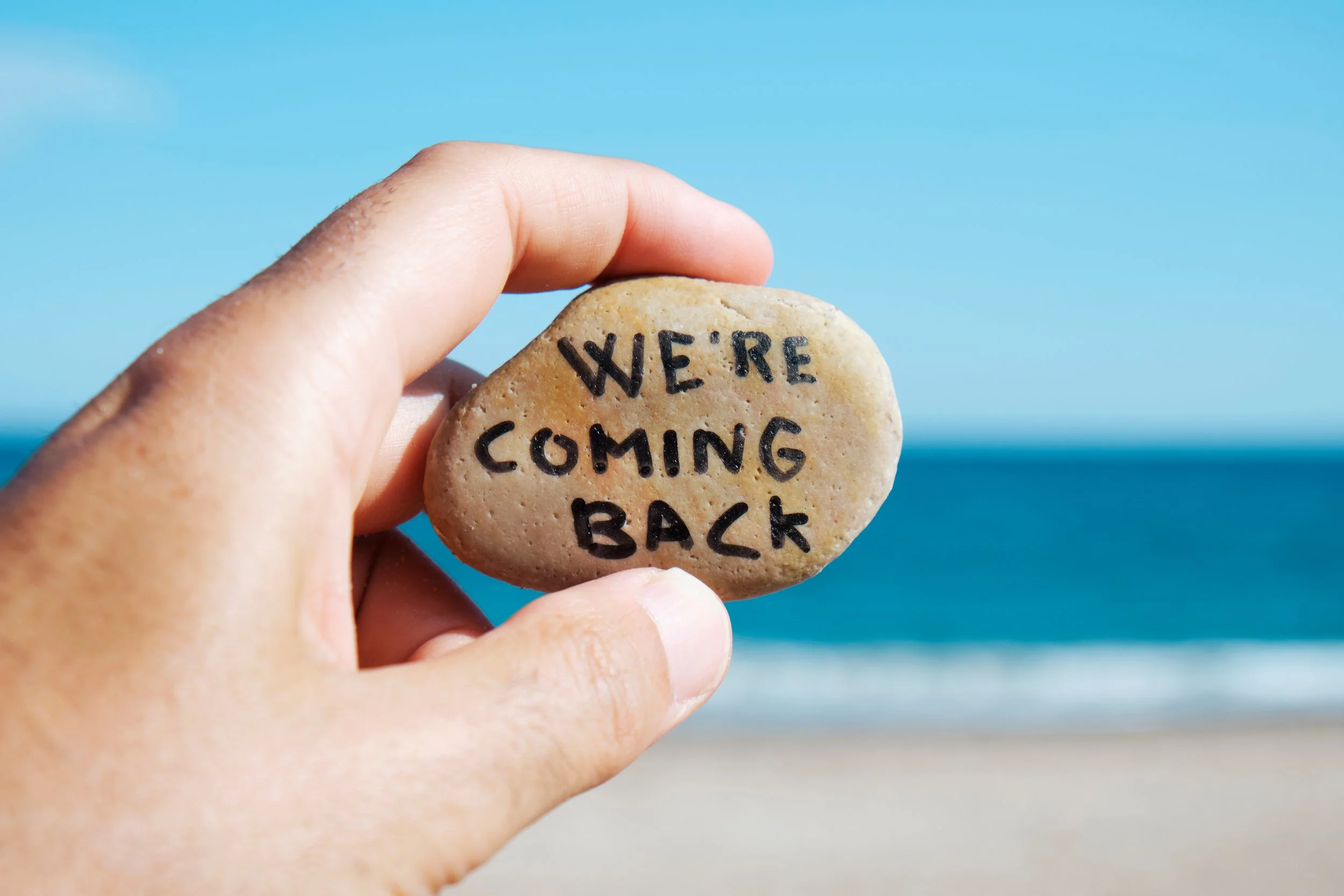 We are coming back!