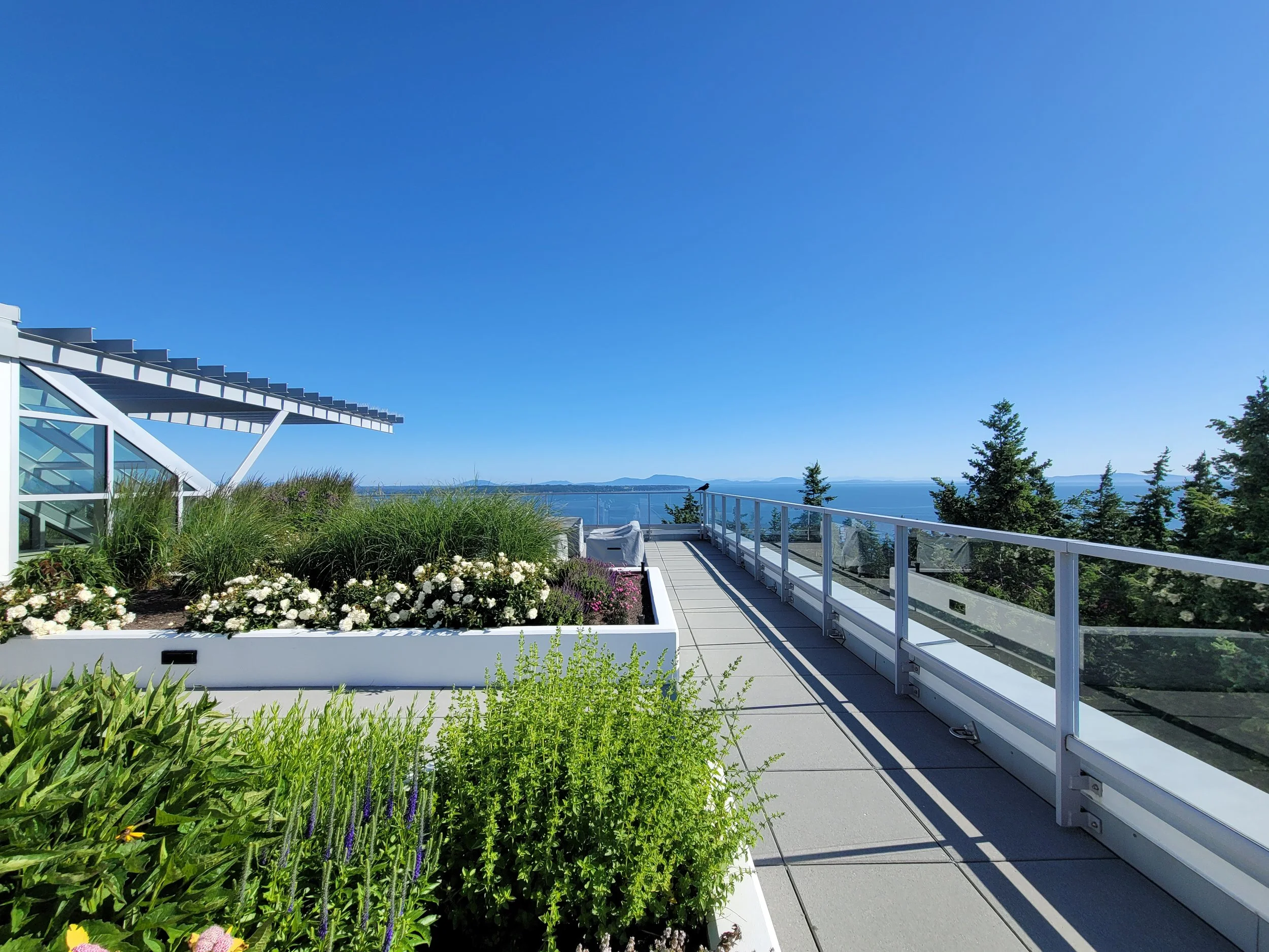 JUST LISTED - 1501 Vidal Street, White Rock