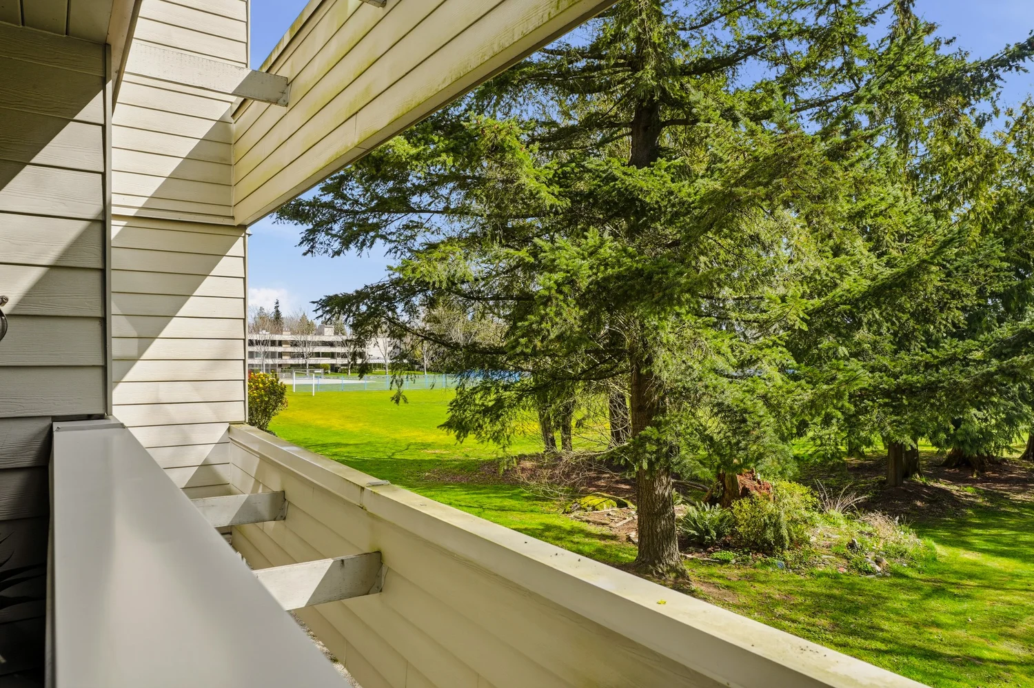 First Look: A Hidden Gem Overlooking the Park