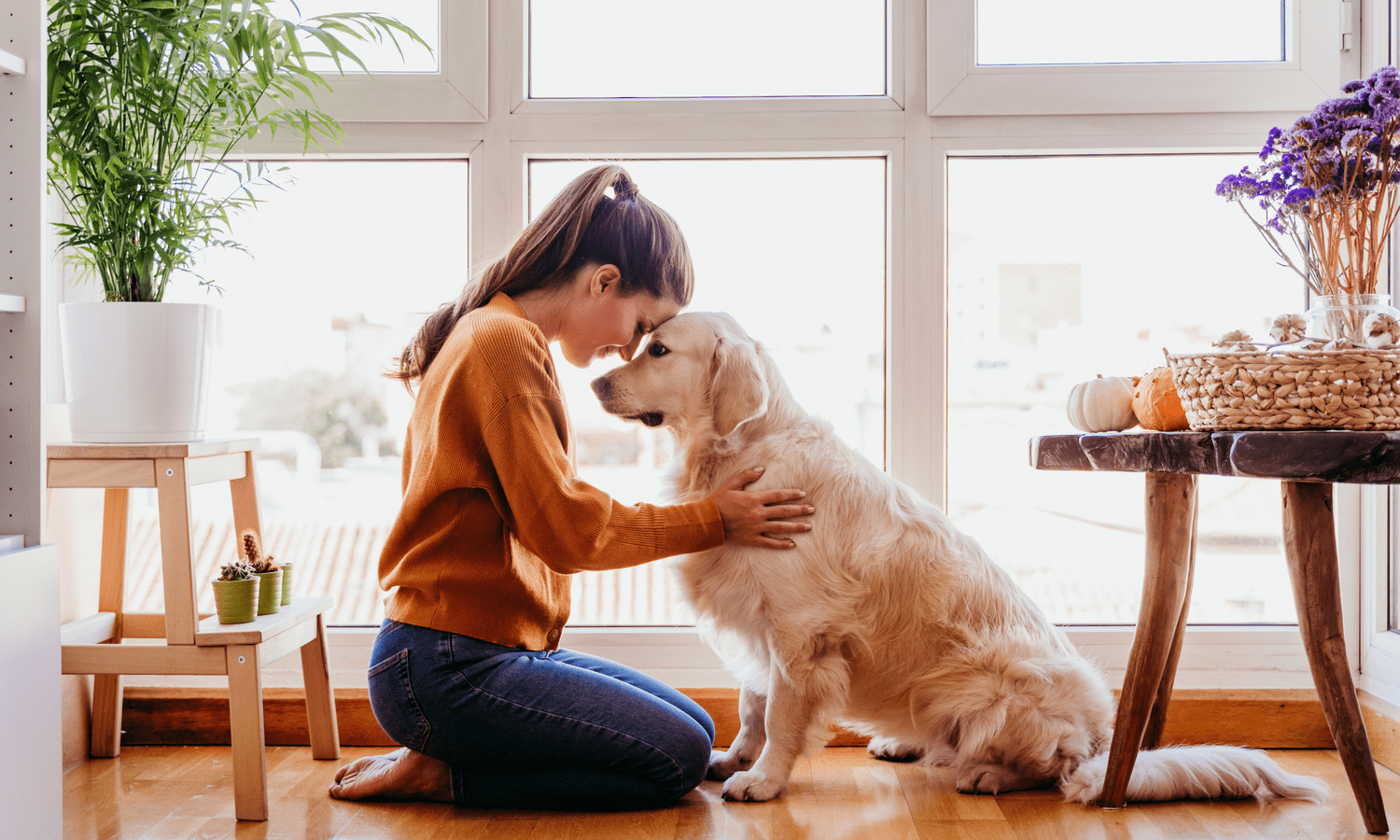 Understanding Your Buyers: A Key to Real Estate Success