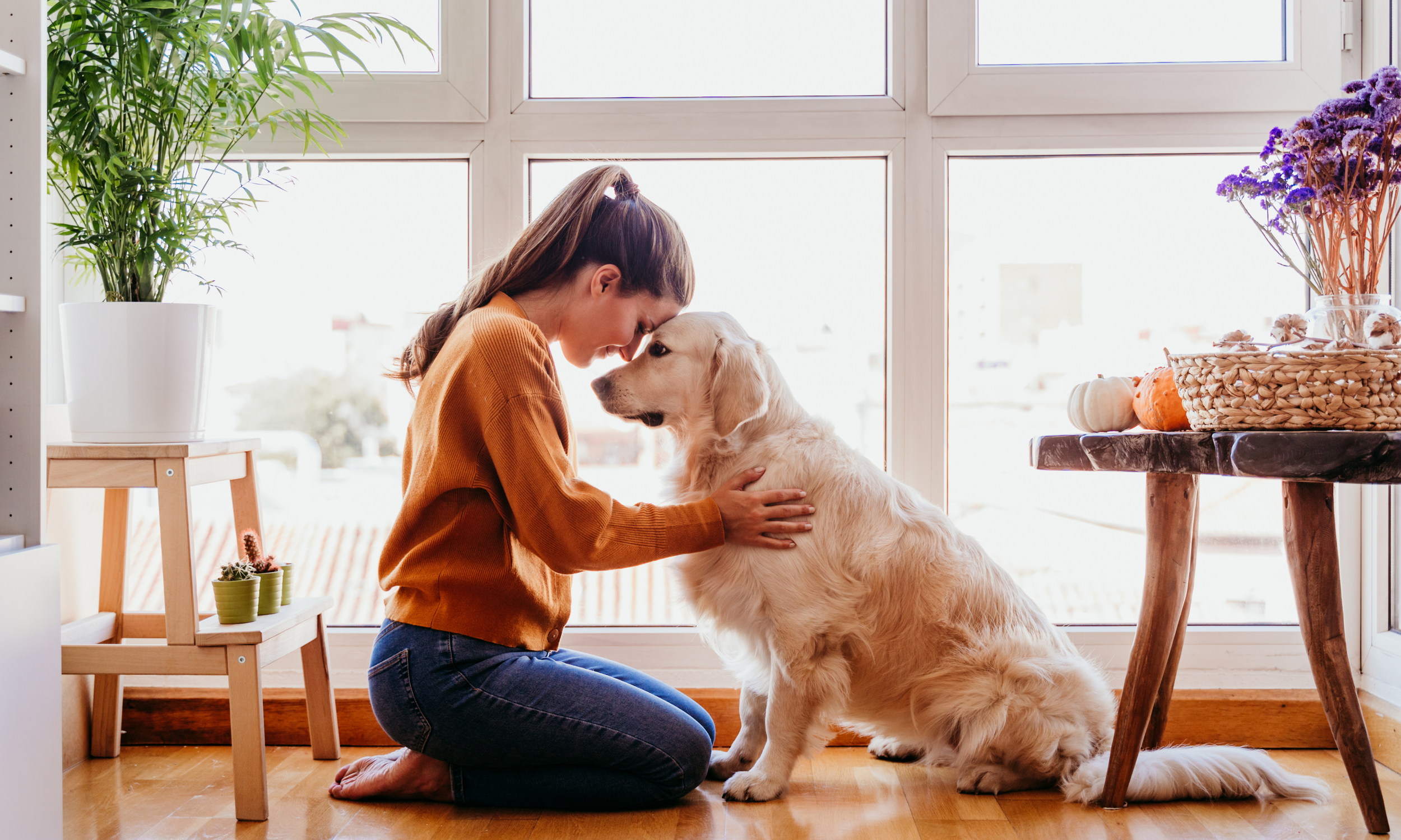 Understanding Your Buyers: A Key to Real Estate Success