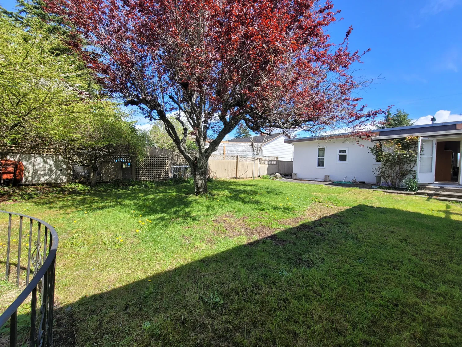 1137 Parker Street photo 15