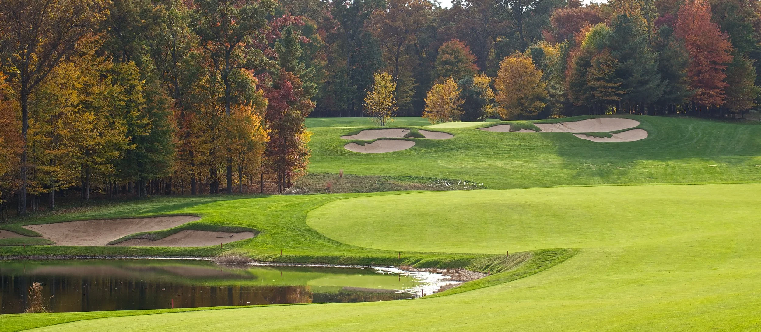 Neighbourhood Profile: Morgan Creek