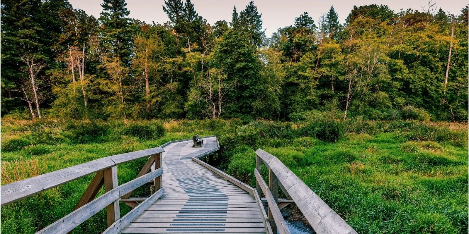The Allure of Luxury Acreage Living in Campbell Valley, Langley