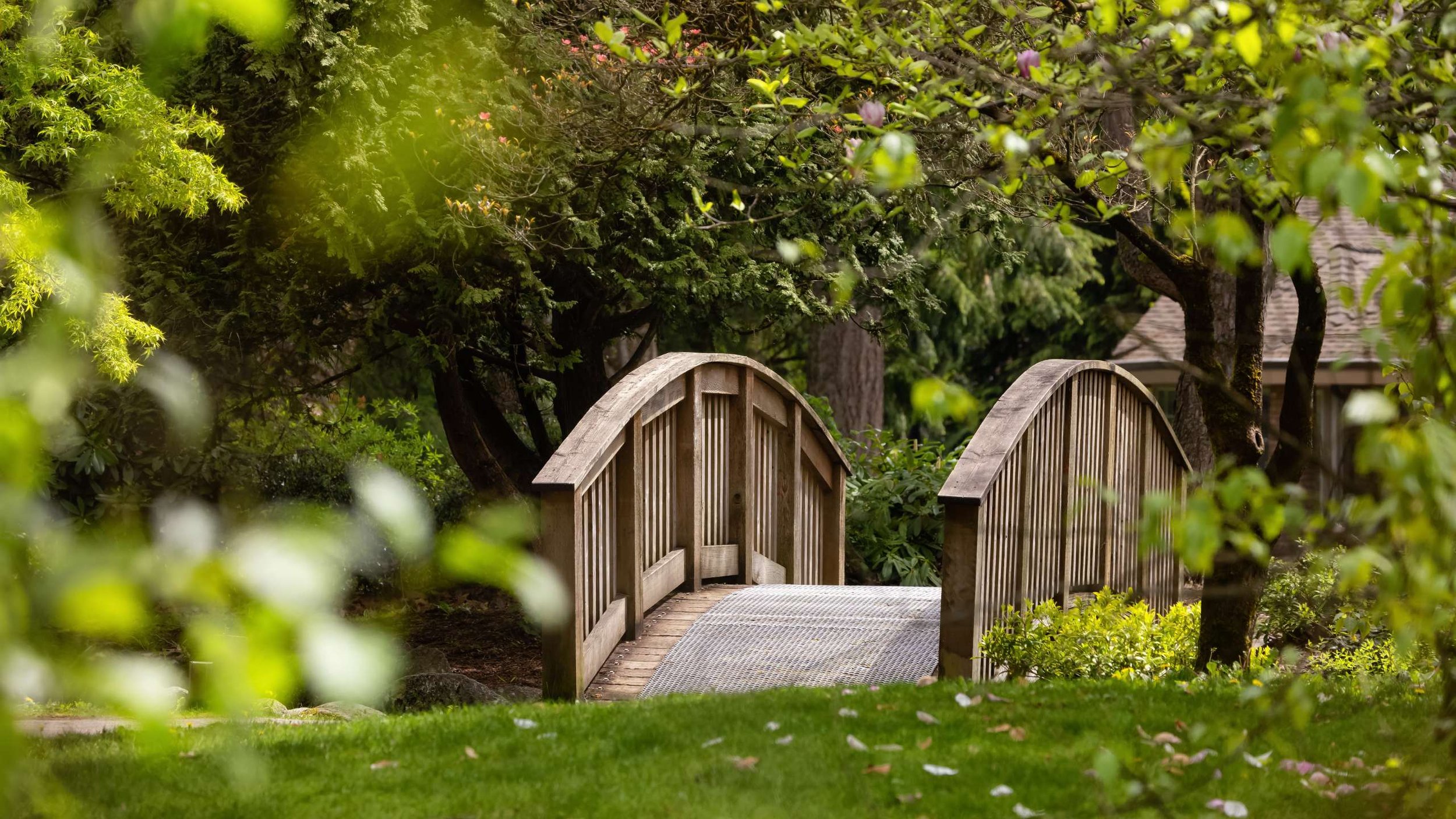 The Benefit of Living Near Parks and Green Spaces in South Surrey