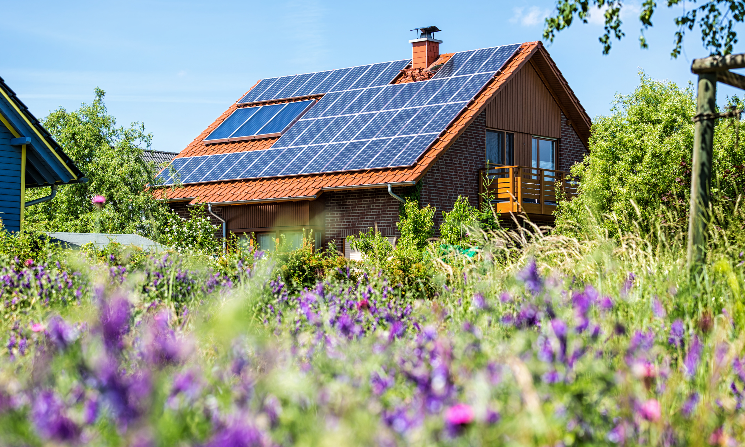 Go Green: The Value of Eco-Friendly Features in Real Estate
