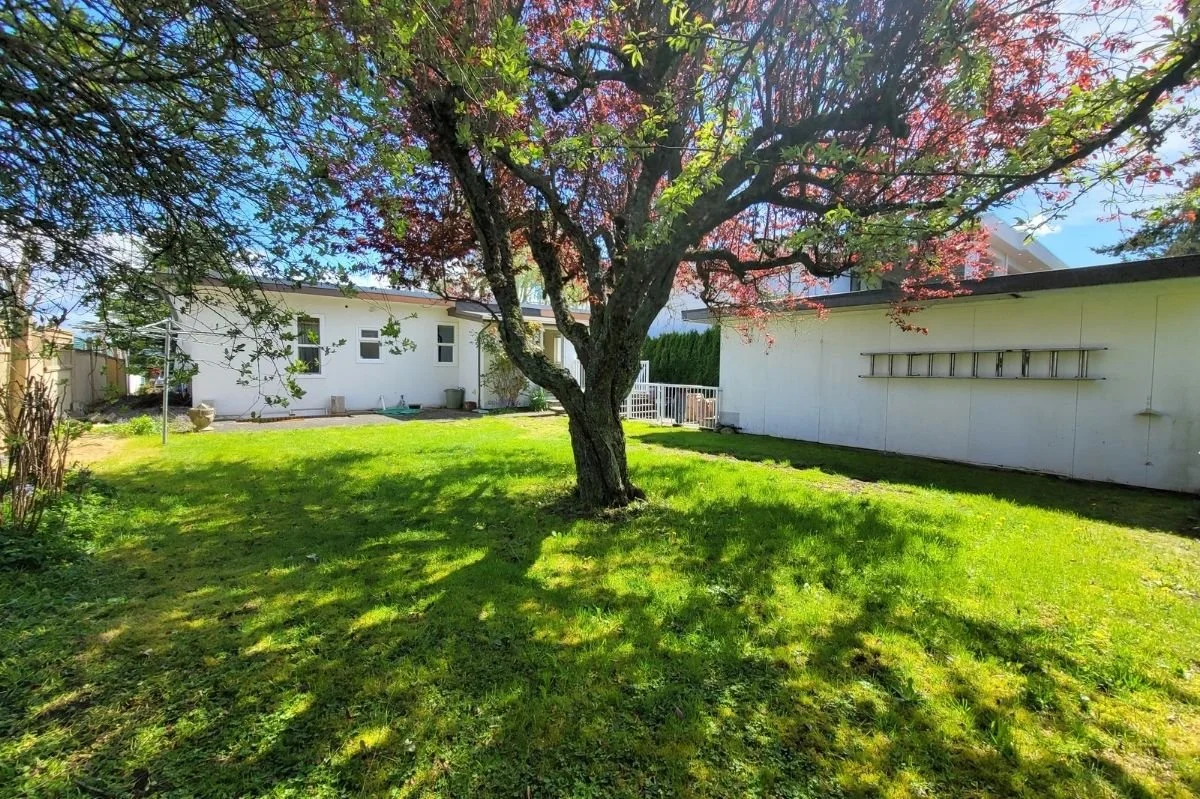1137 Parker Street photo 17