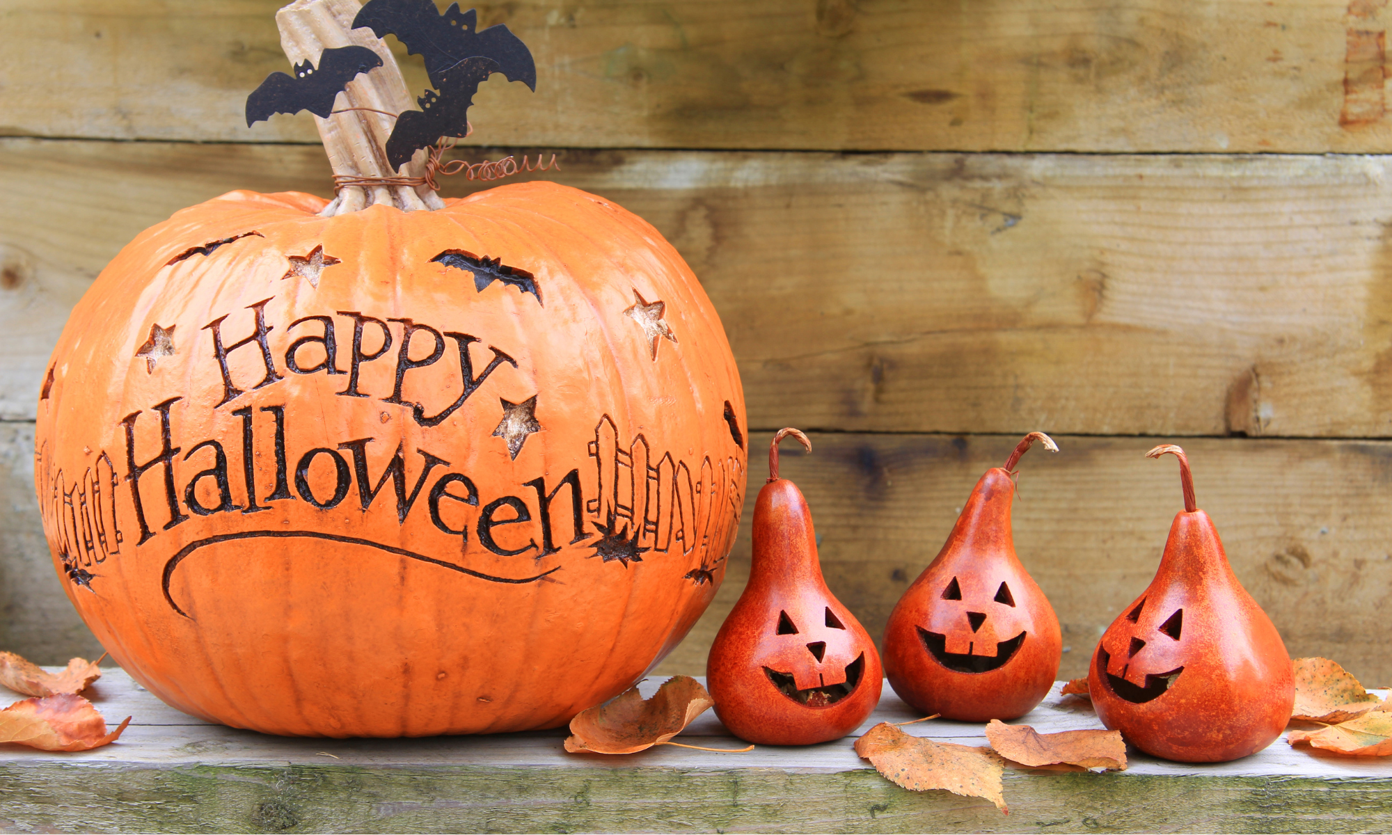 Happy Halloween