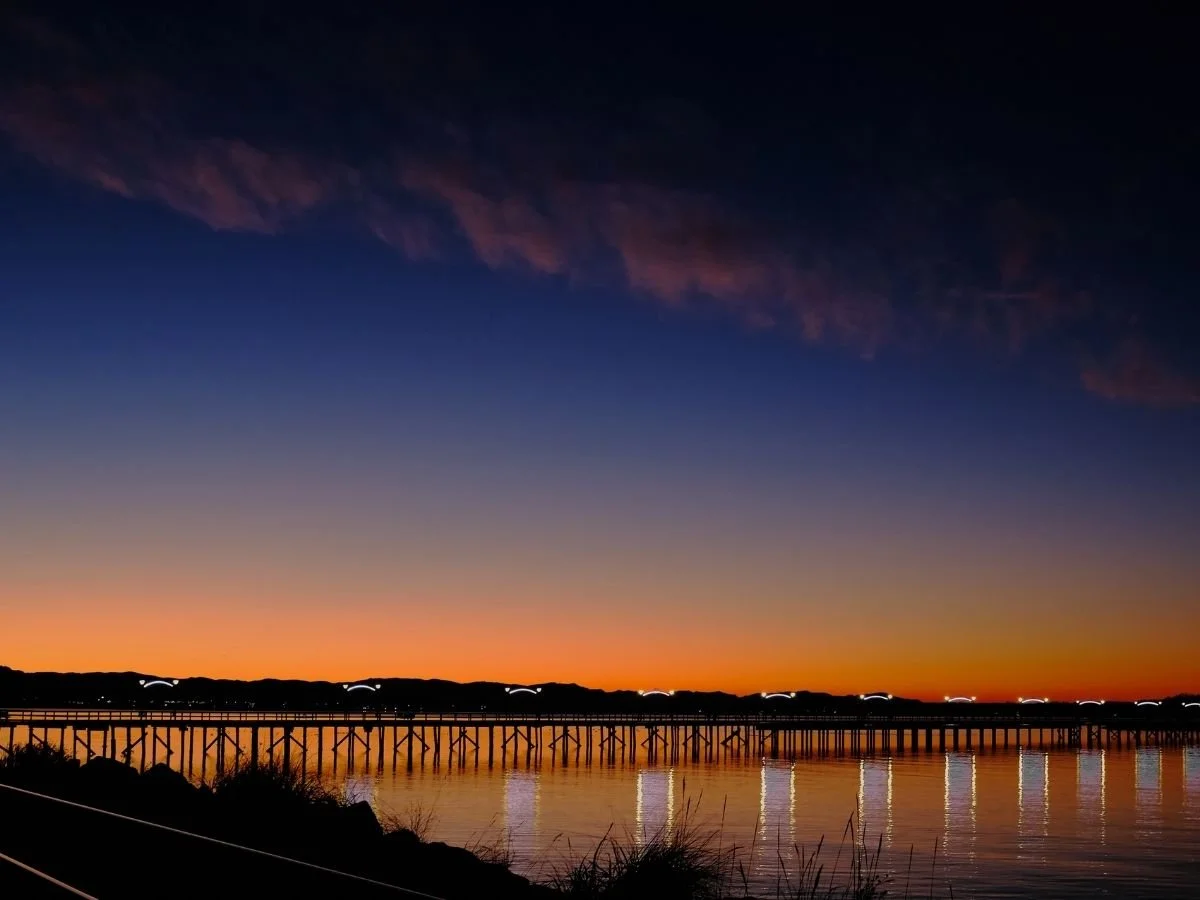 303 15165 Marine Drive photo 22
