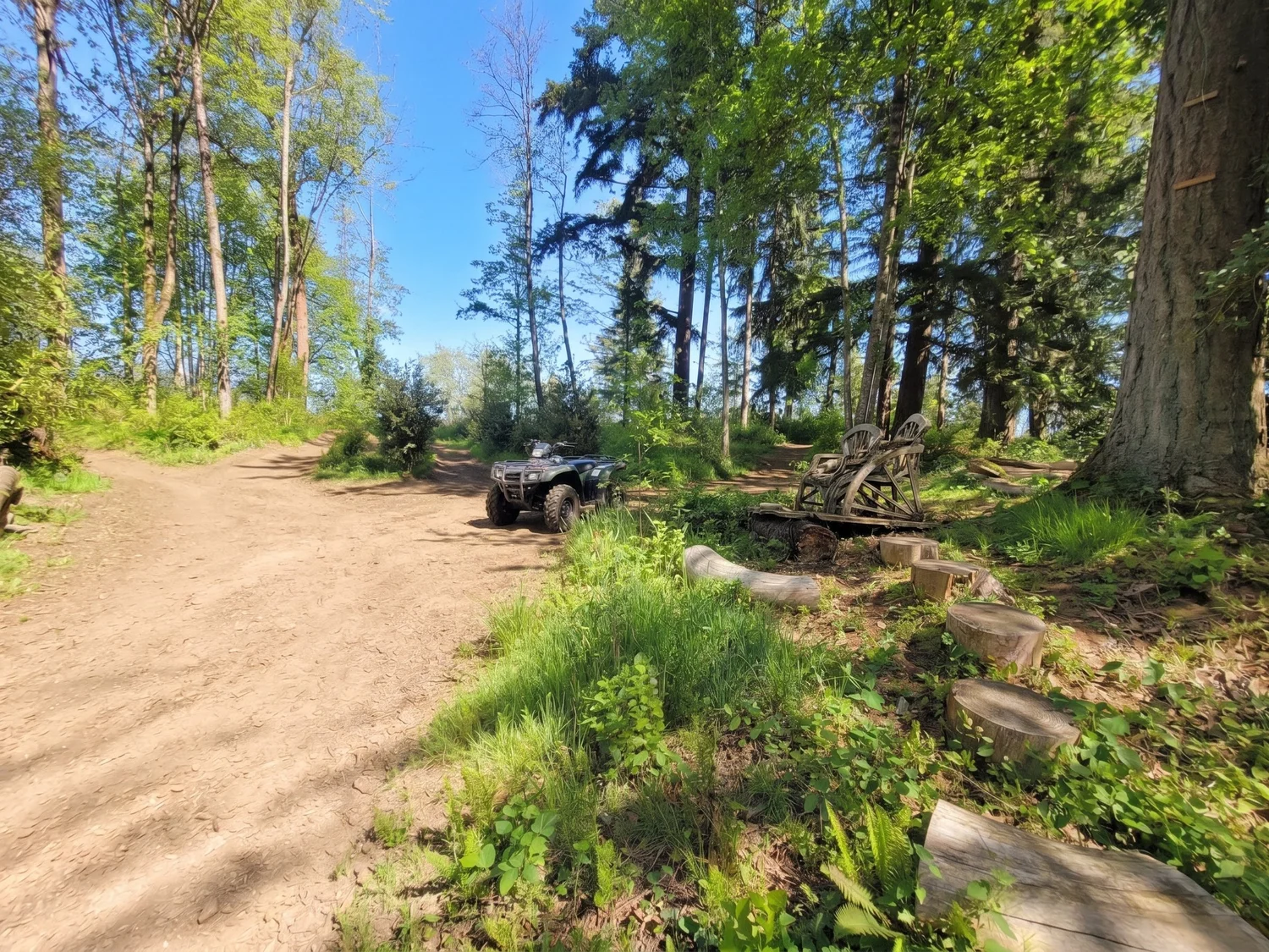 23541 24 ave photo 54