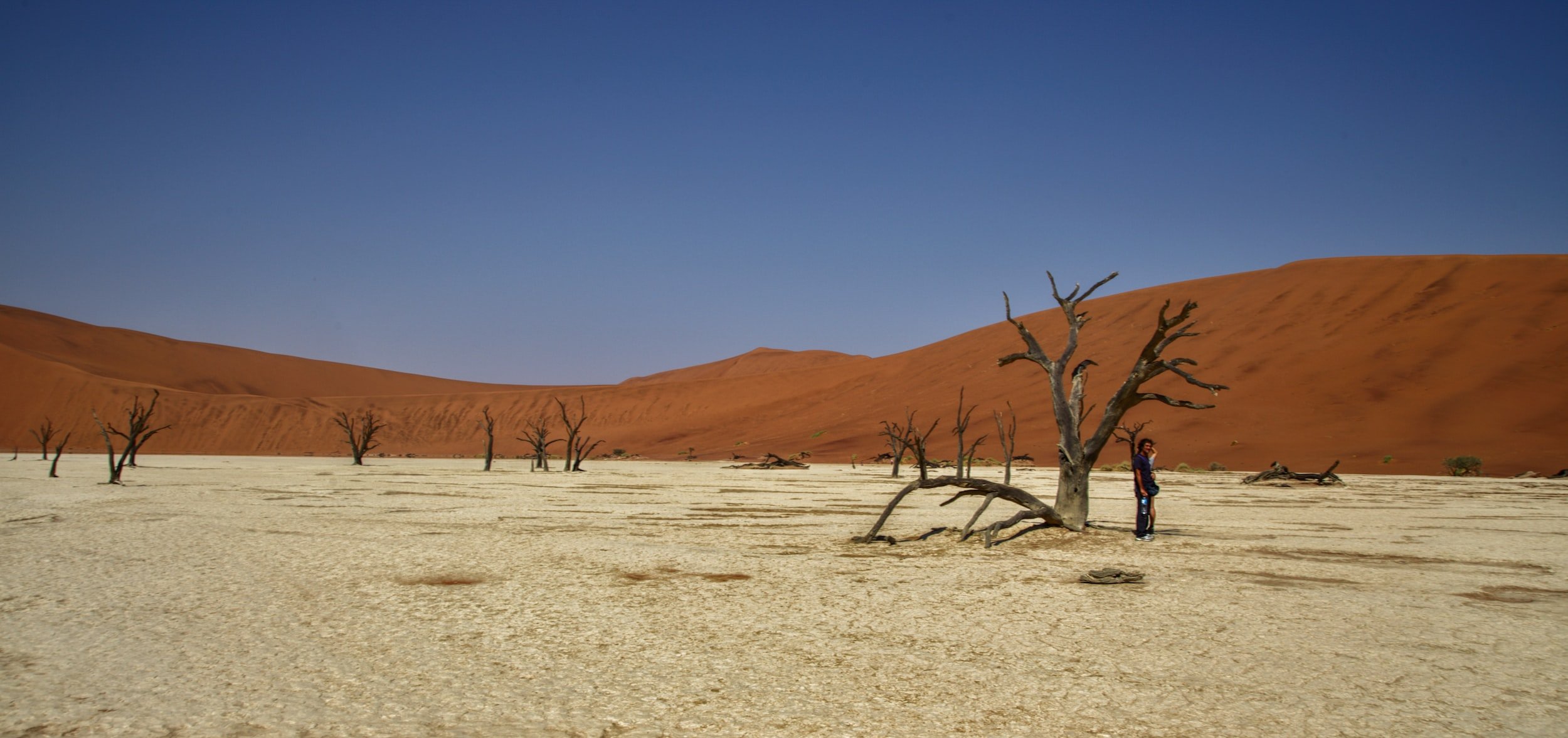 Namibia Launches a Digital Nomad Visa