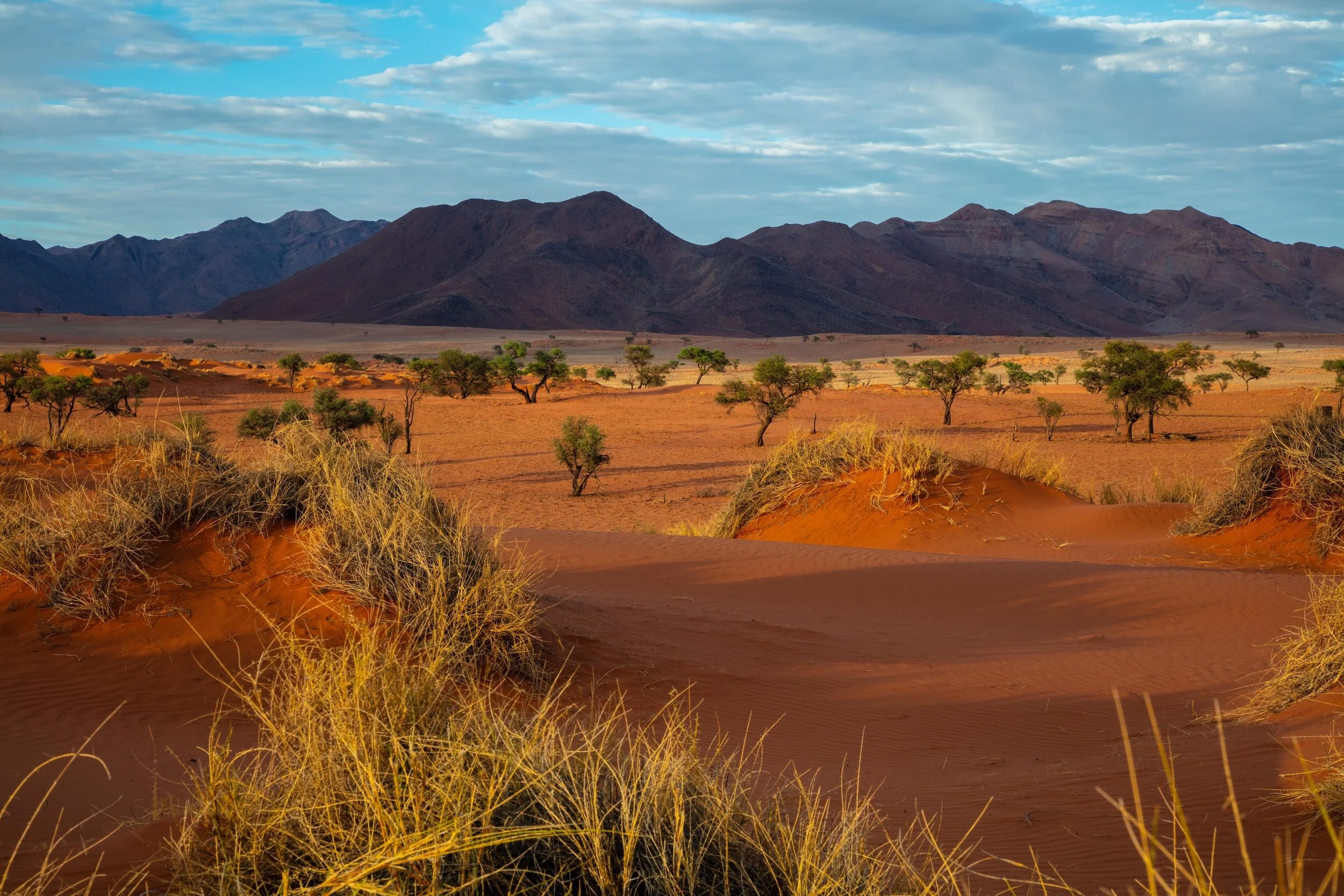 Namibia Welcomes Its First Approved Applicants from the Launch of their Digital Nomad Visa 