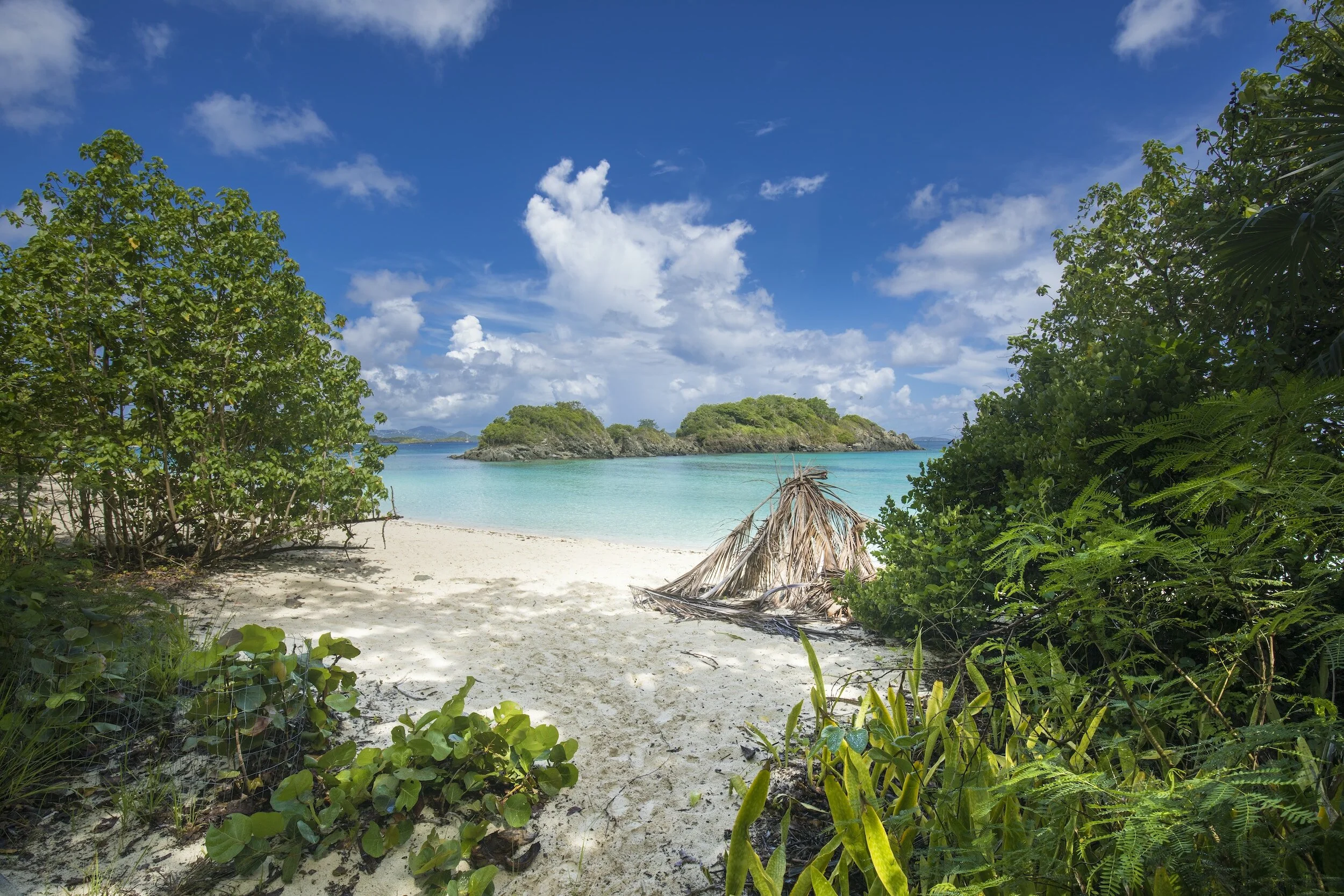  This New Ferry in the Caribbean Helps You Visit 7 Islands in 1 Trip 