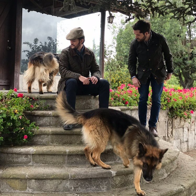 Feliz d&iacute;a a estos grandes compa&ntilde;eros, los perros. 

#DiaDelPerro