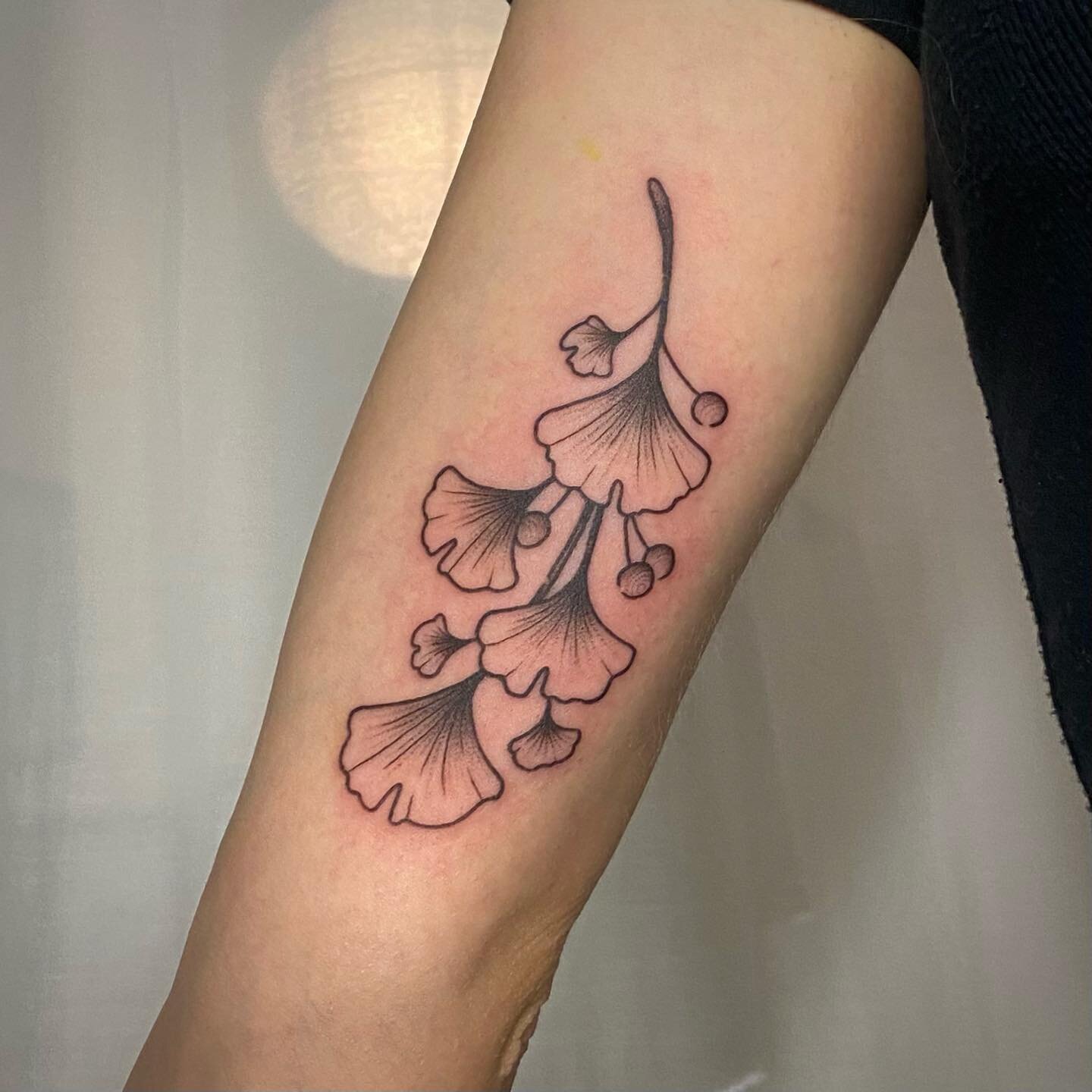 Freehand ginkgo branch for K, swipe to see the drawing ☺️ Tysm for your trust!! Always down for ginkgoes even if I&rsquo;m in a flash only phase 💚

Gonna start trying to get back to Toronto (June 3+6) bookings this evening, this is your last few hou