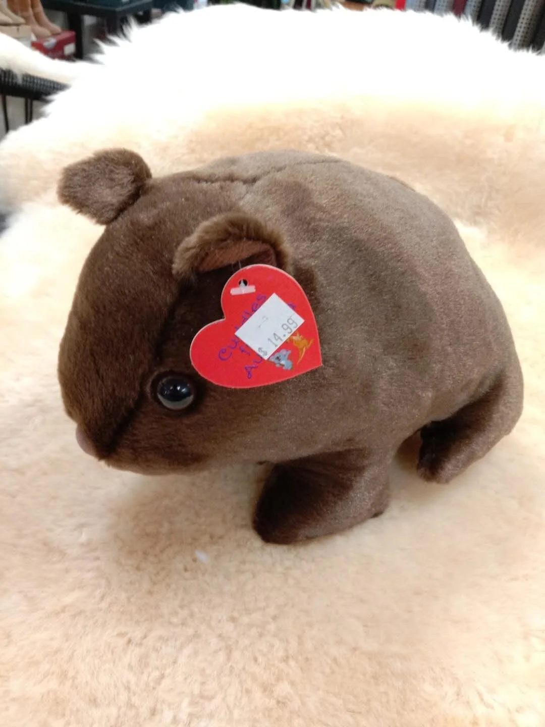 Australia Souvenir Wombat