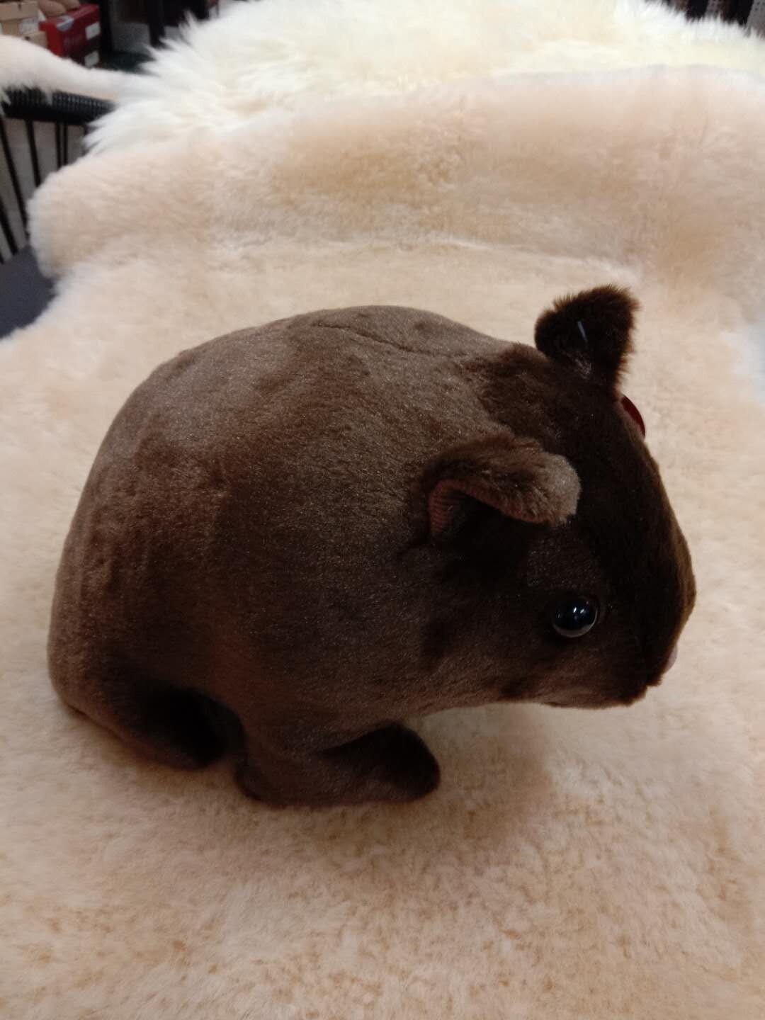 webwxgetmsgimg (65).jpg