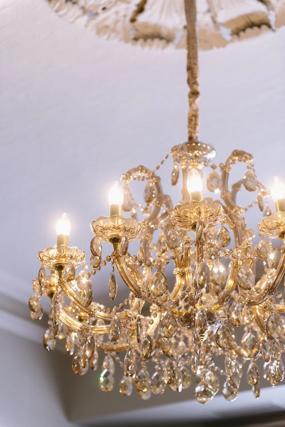 HOLOS  - House of Lamby on Show