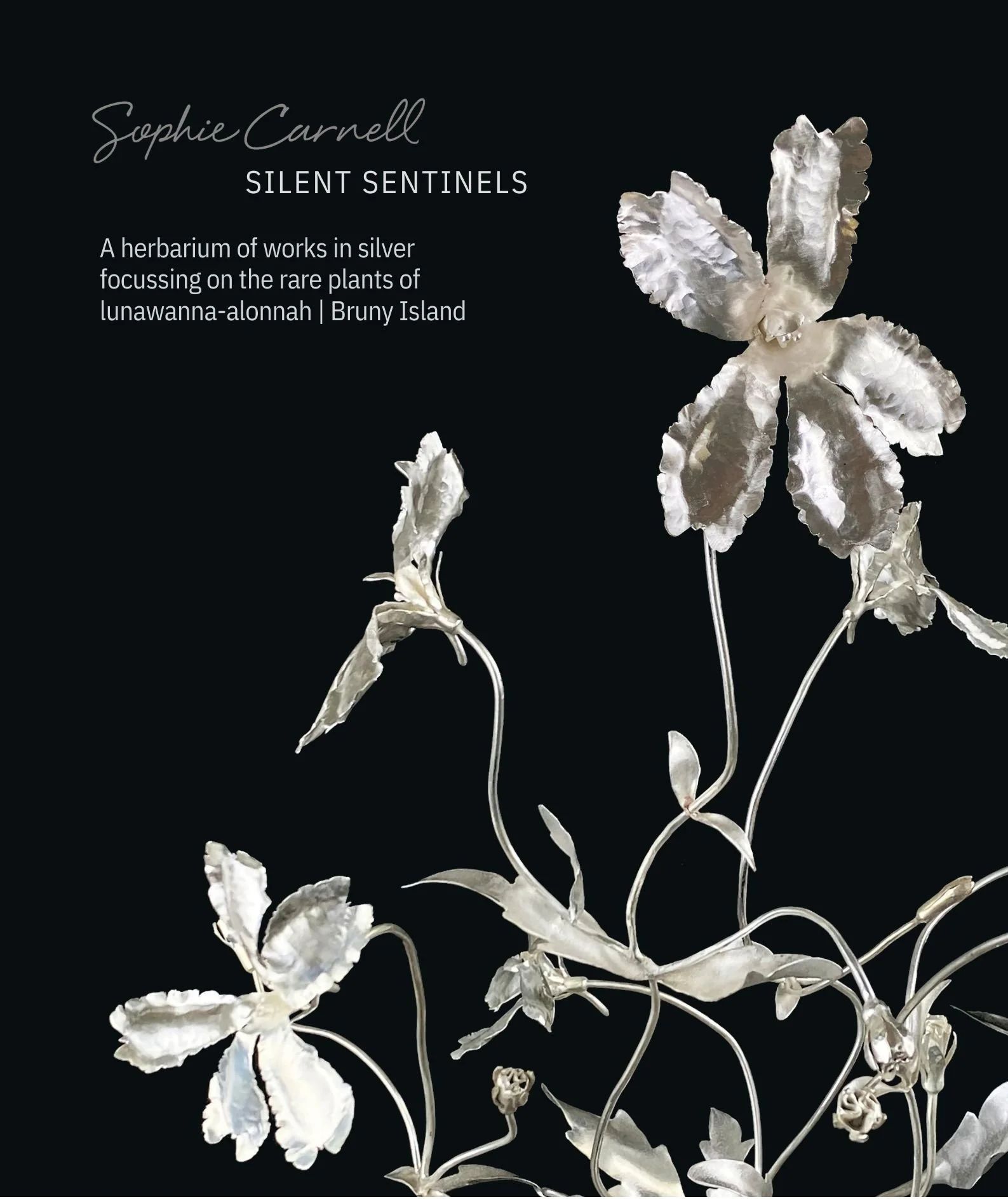 Art exhibition inside Hadley's Orient Hotel in Hobart