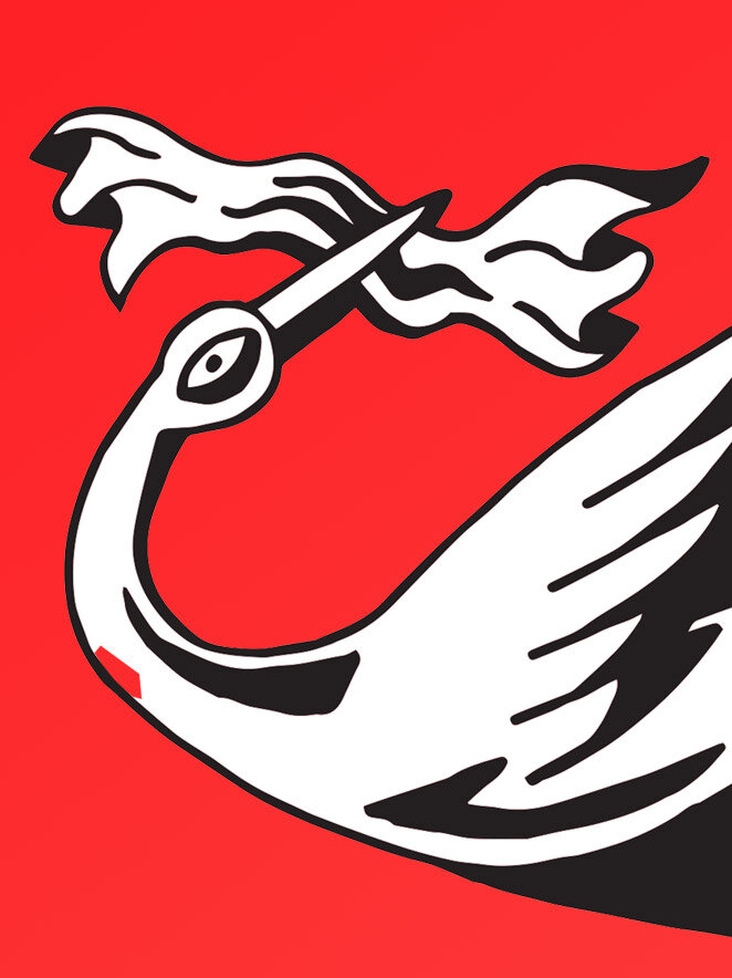 Keď bocian zablúdi