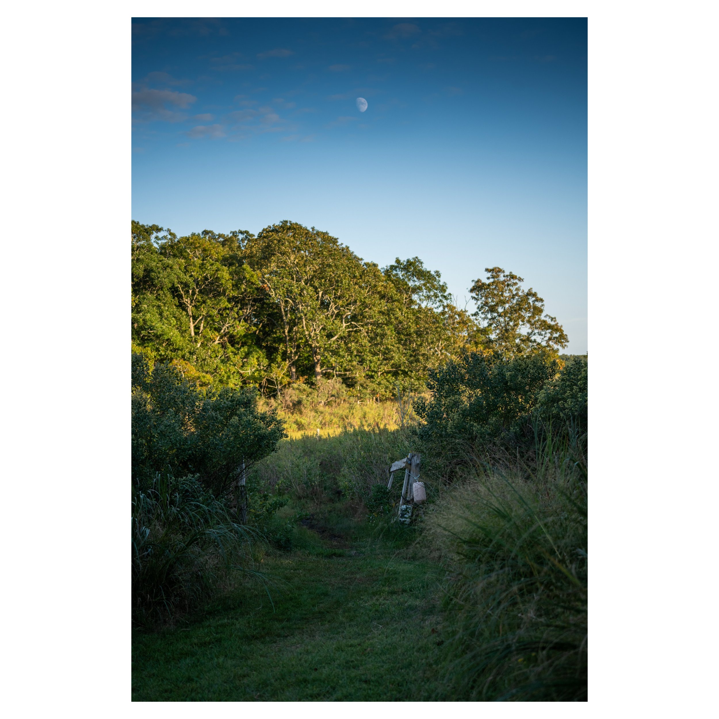 AfterlightImage (2) 5.jpg