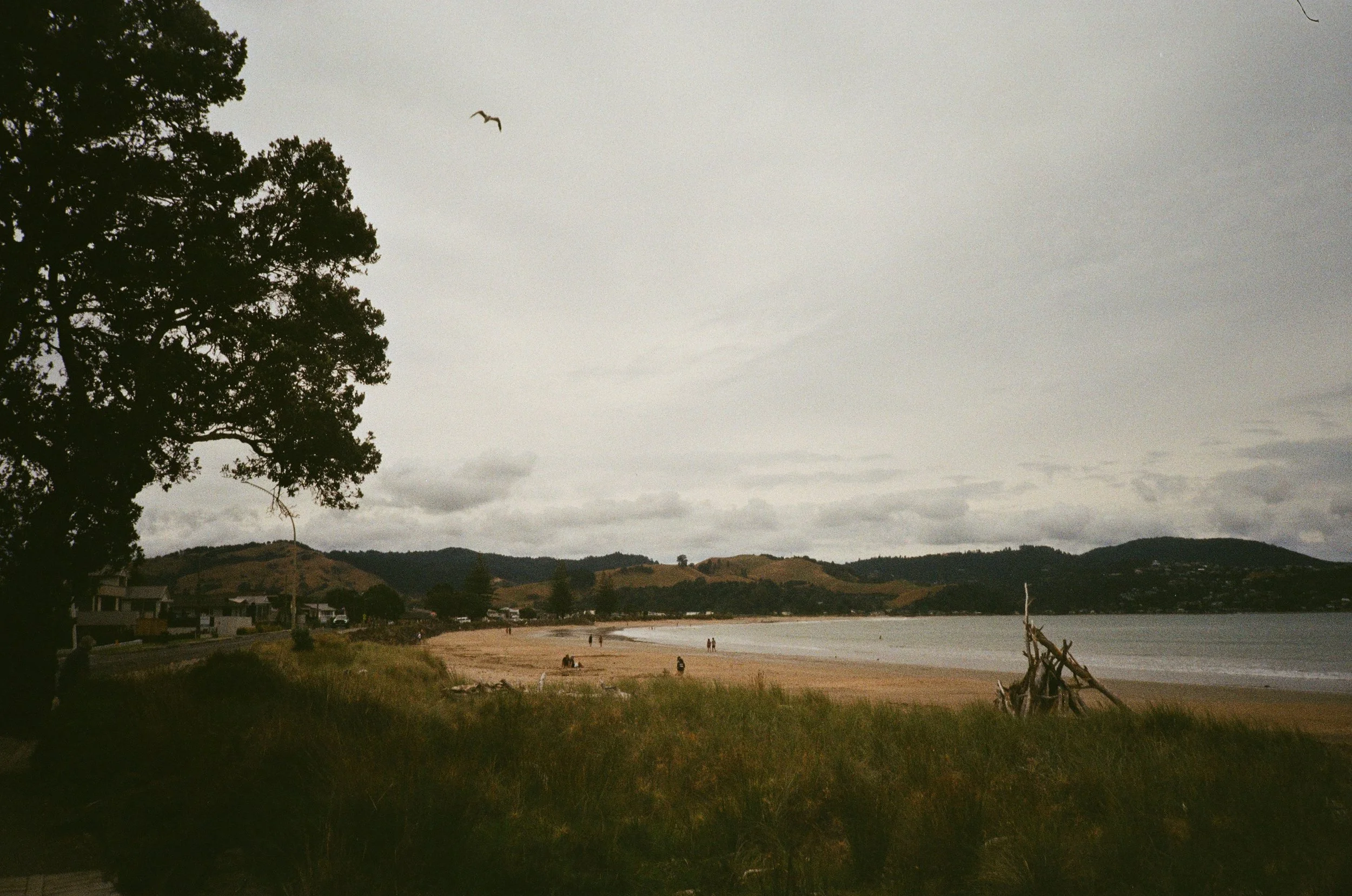 (Cooks Beach) - one of the neighboring beaches. We all came here to go banana boating. Our first group of the kiwis, Christina and I took a hellbender rider and then Mom, Max and Soran and me took a scenic one. both very fun. I got to swim into a cav