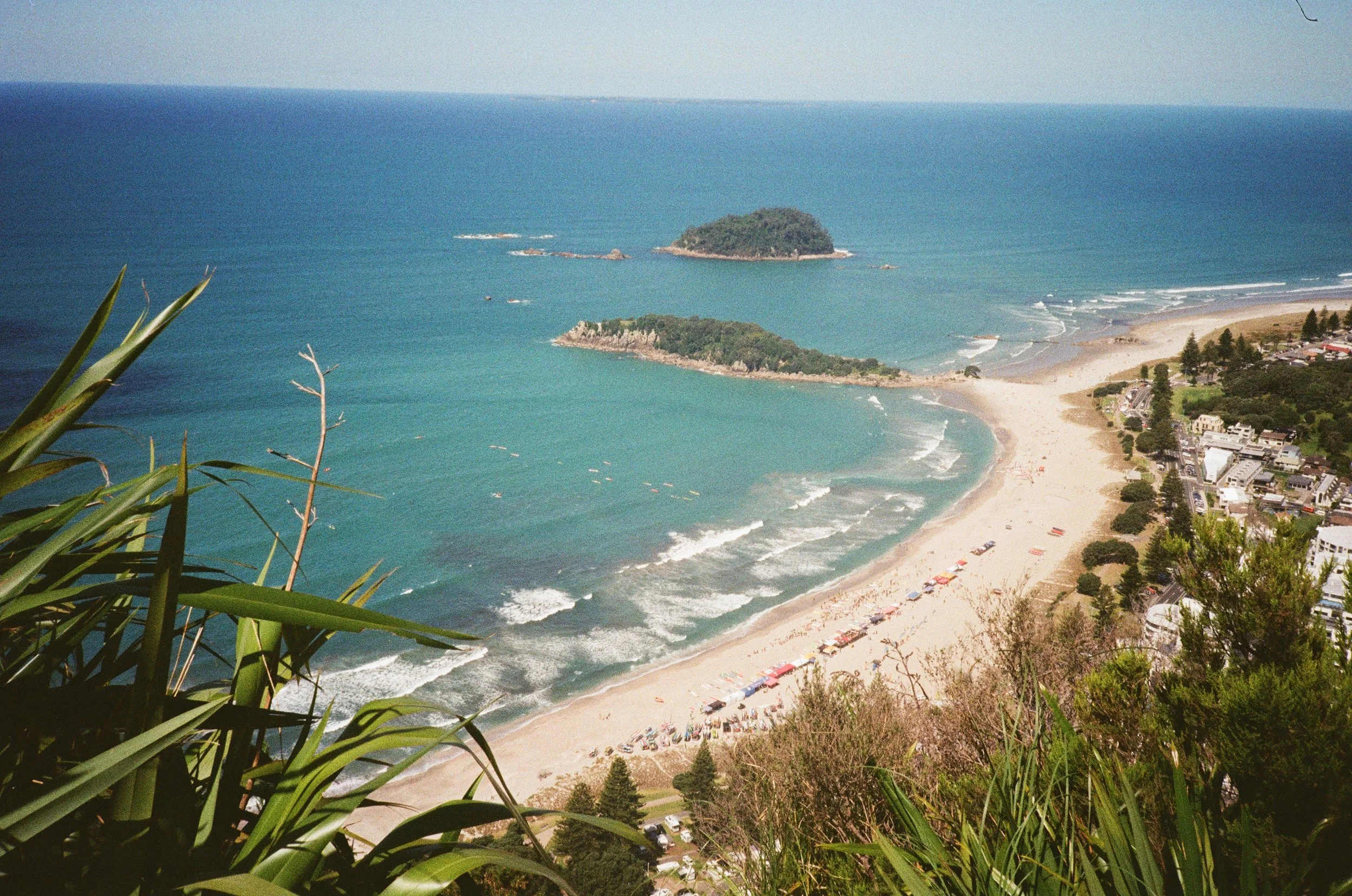 (Tauranga) - Views climbing up the mount.