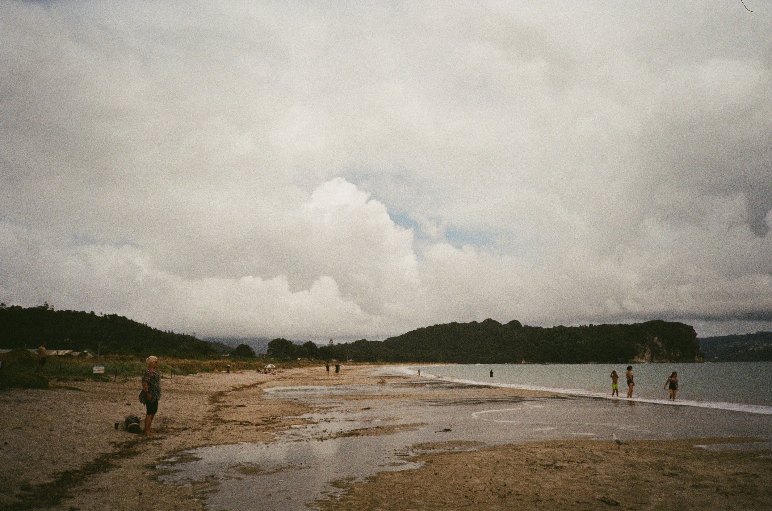 (Cooks Beach) - more photos from the beach right next to the beach house
