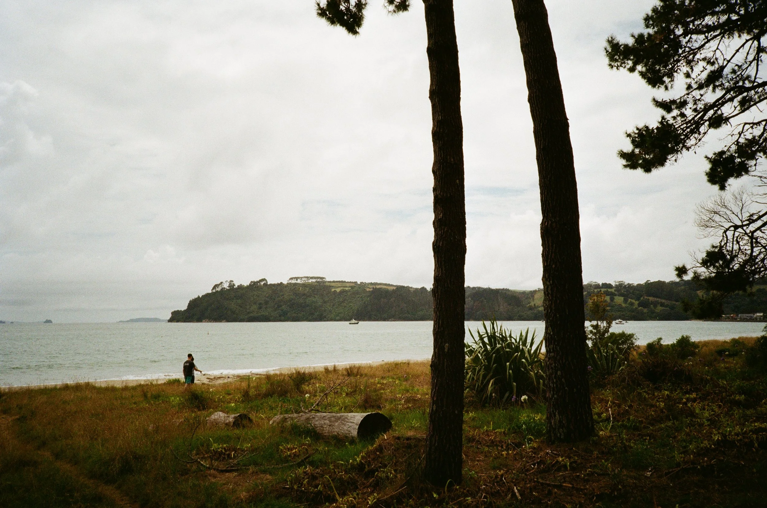 (Cooks Beach) - more photos from the beach right next to the beach house