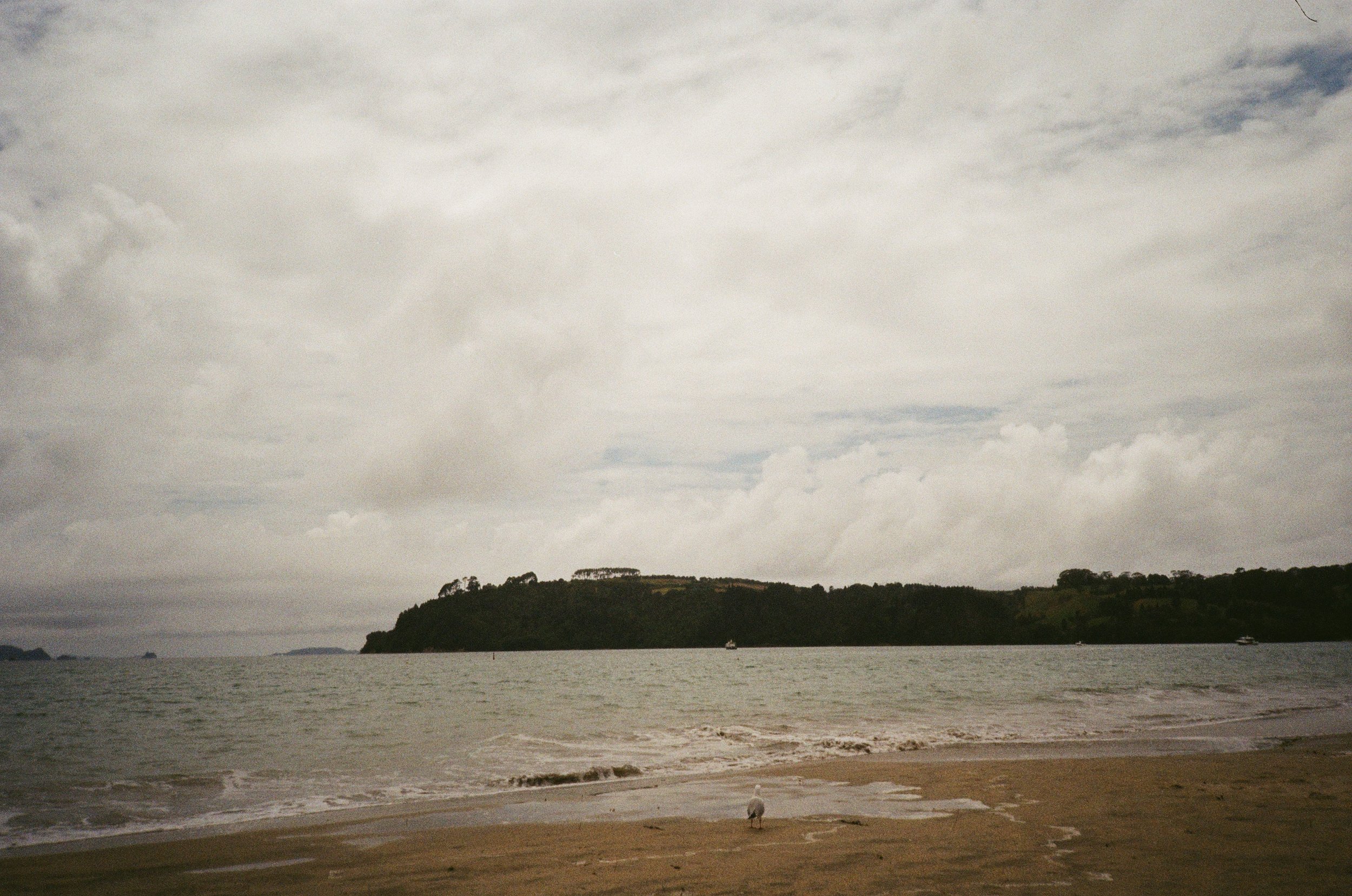 (Cooks Beach) - more photos from the beach right next to the beach house