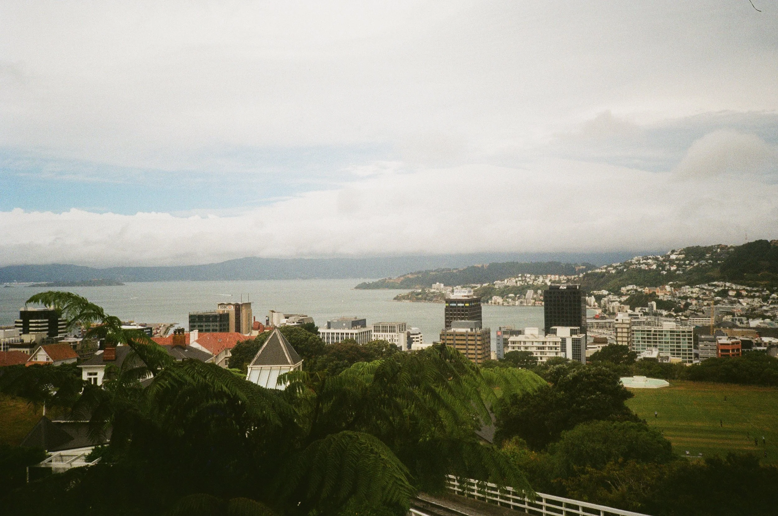 (Wellington) - Flew here and stayed at Christina's apartment. This is along her walk to the main town and how she walks to work.