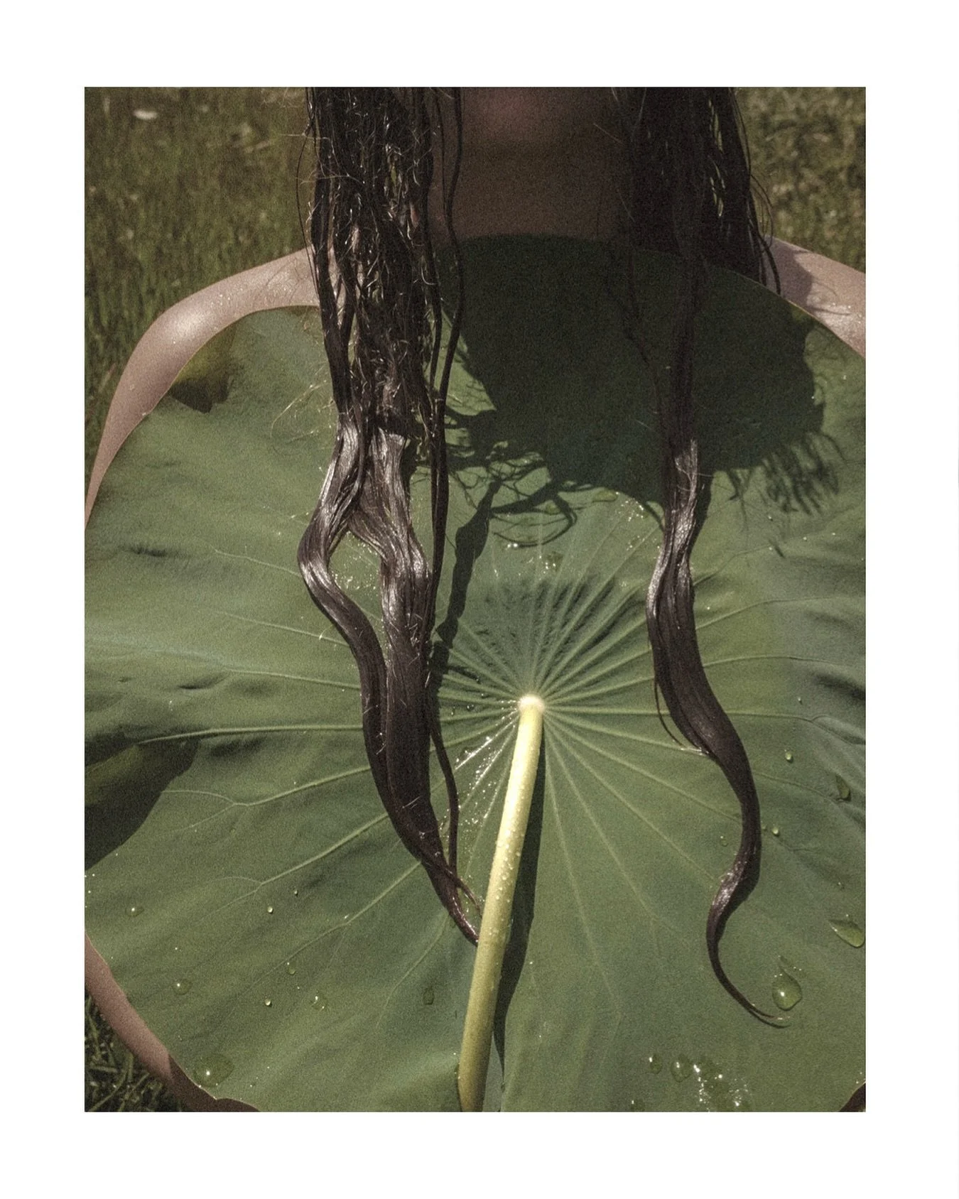 Natural skincare made on Maui, crafted in fresh batches for sun-loved skin🤍
A ritual of renewal rooted in botanicals.
.
.
.
.
⠀⠀⠀⠀⠀⠀⠀⠀⠀
#MadeOnMaui #SunKissedCare #OshanEssentials #LuxuryAfterSun