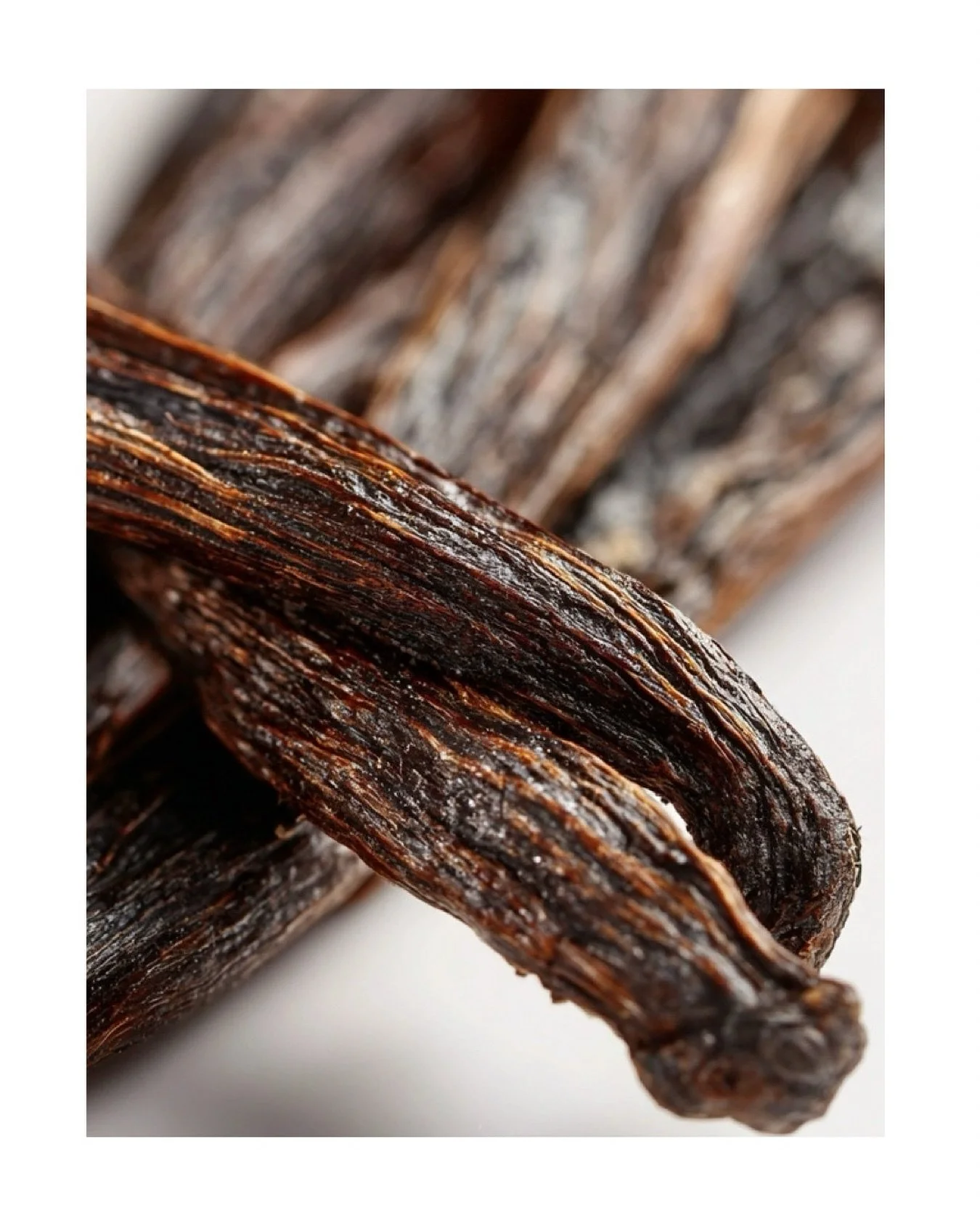 Vanilla🤍  In the AWAKE ritual, it softens the sharper notes of coffee and cardamom, creating warmth that lingers on skin, feels intimate and grounded.
⠀⠀⠀⠀⠀⠀⠀⠀⠀
.
.
.
#VanillaAbsolute
#VanillaRitual
#WarmthInSkin
#AwakenTheSenses
#SensorialSkincare
