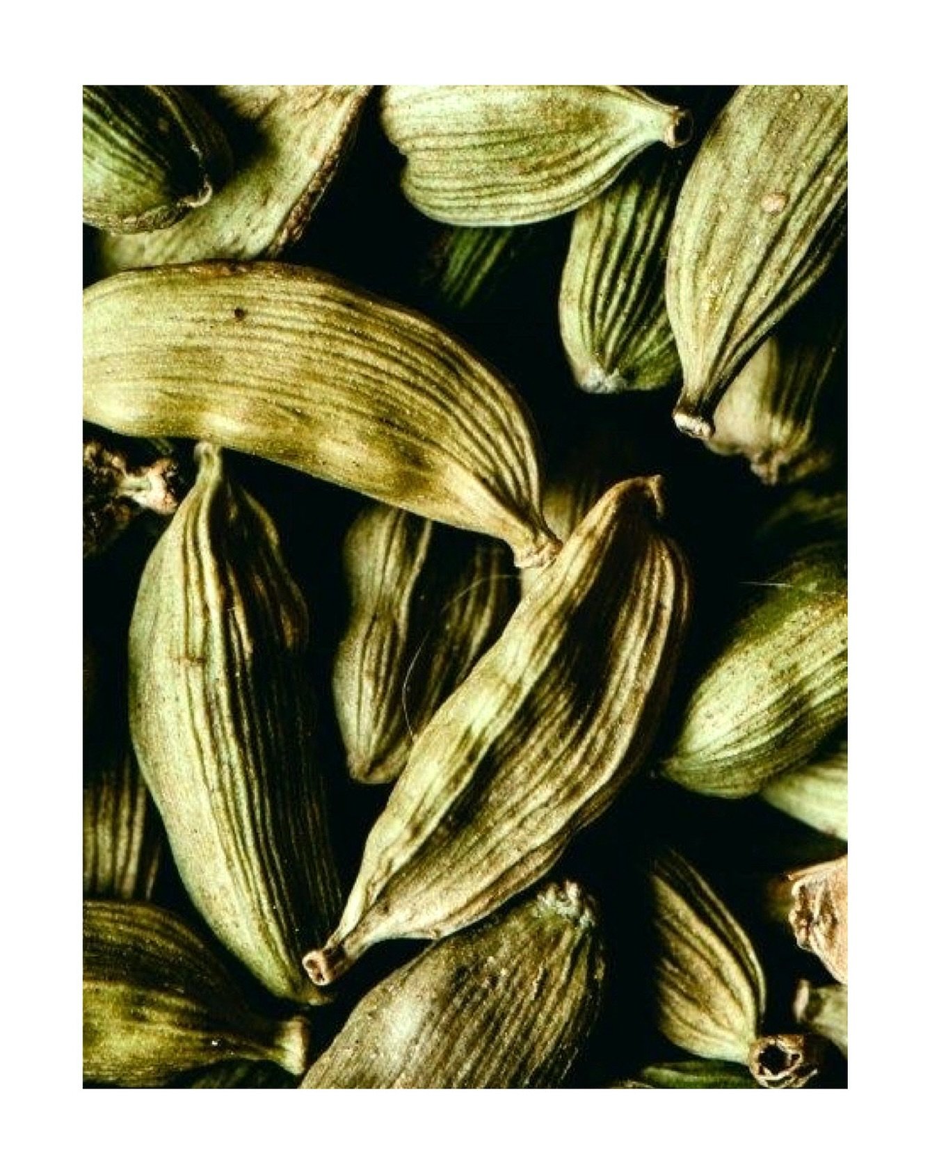 Cardamom activates circulation, bringing renewed vitality to the skin.
An inviting warmth enhances exfoliation, encouraging clarity and softness🤍
Featured in our AWAKE essential oil blend , woven through the soak, polish, and body butter -rich, deli