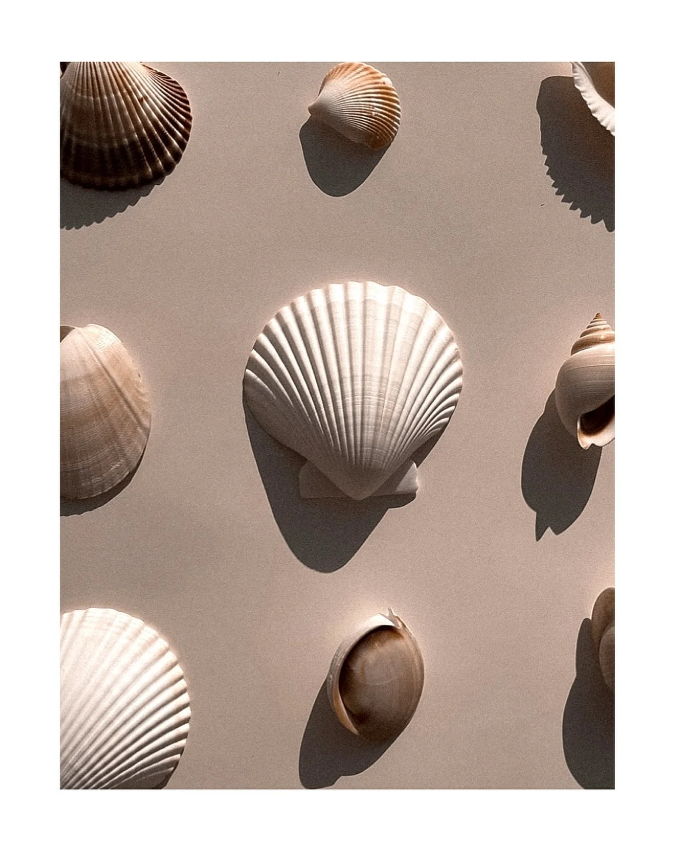 Very rainy on Maui today.
The kind of day that calls for a long mineral soak, rich butter, skin wrapped in warmth🤍 stay safe, stay inside.