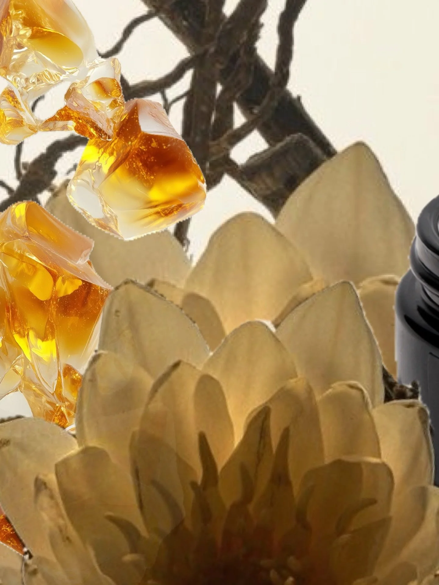 Vanilla. Raw cacao. Cardamom. Frankincense. The kind of scent that doesn&rsquo;t announce itself &mdash; it settles. Deep, warm, quietly arresting. AWAKE is named for exactly this. The moment your skin meets it, something awakens .