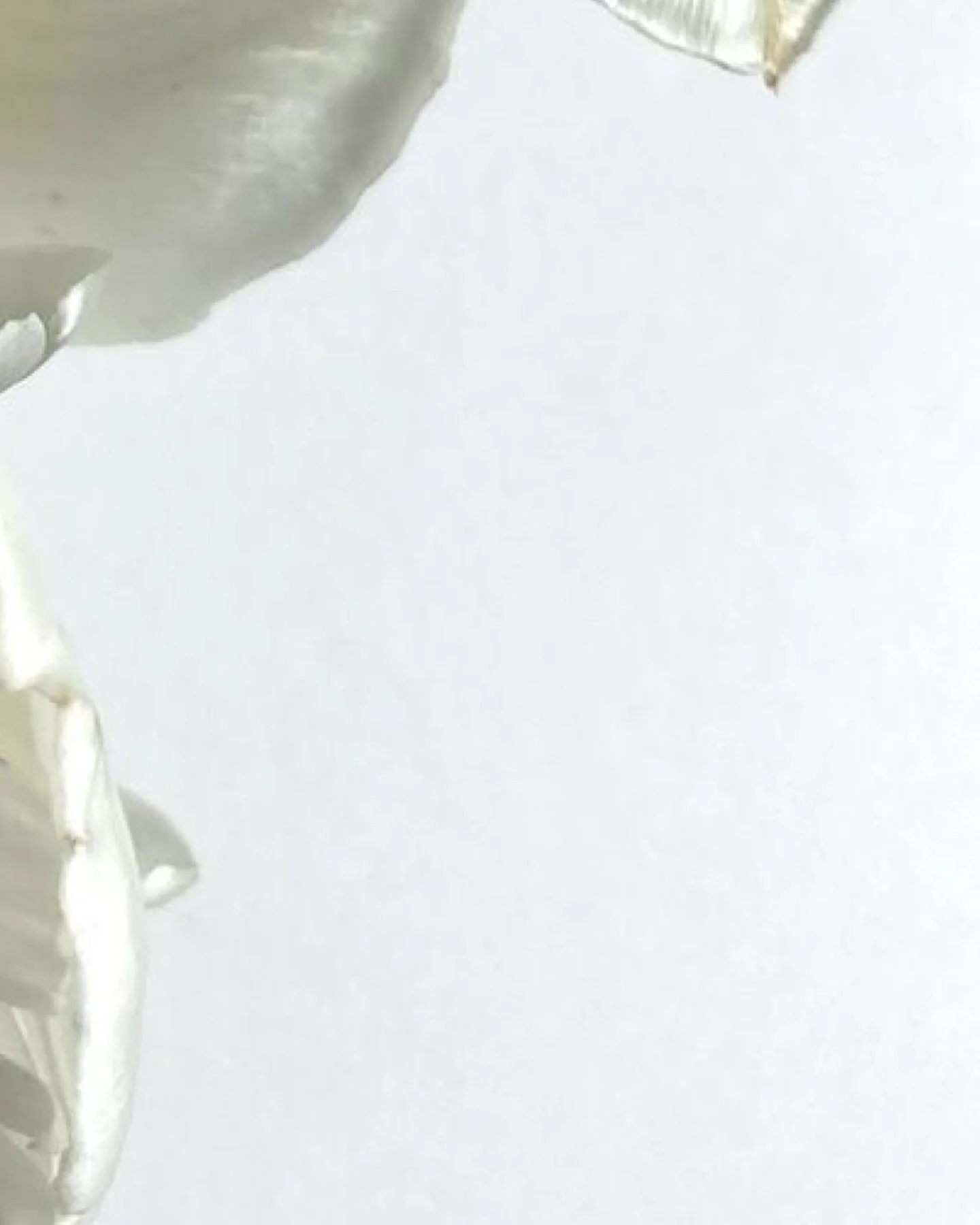 Beauty lives in ritual, in the small moments we give ourselves.