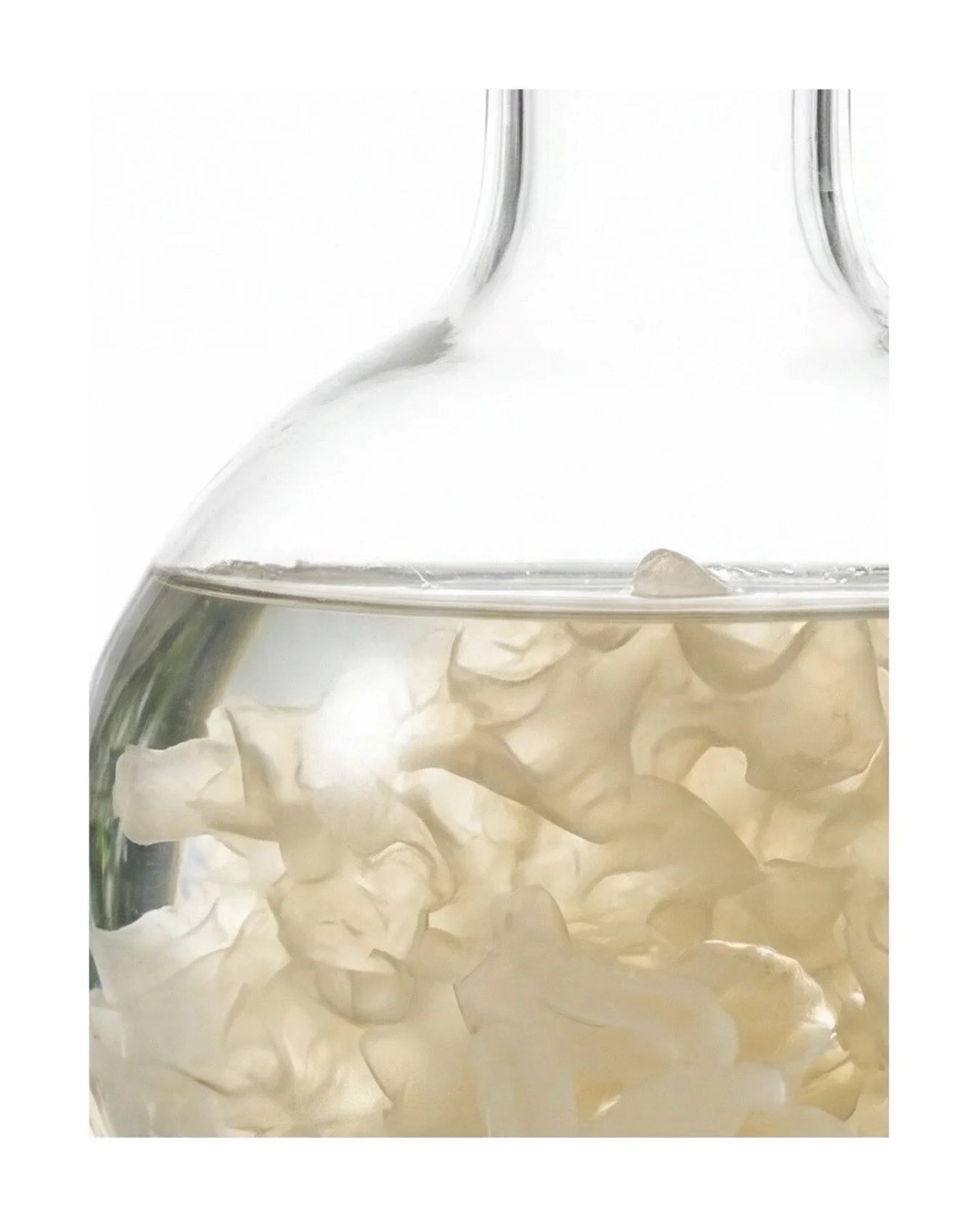 Something new is coming soon&hellip; Snow mushroom delivers lasting hydration through its water-binding polysaccharides, helping skin hold on to moisture 🤍
⠀⠀⠀⠀⠀⠀⠀⠀⠀