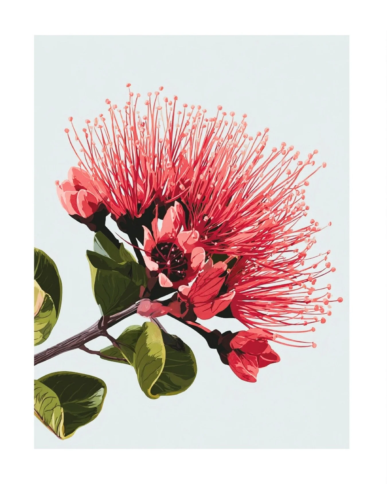 ʻōhiʻa lehua- one of Hawaiʻi&rsquo;s most vital native trees, a protector of watersheds, birds, insects, and forest life.
⠀⠀⠀⠀⠀⠀⠀⠀⠀
Rooted in lava, softened by rain, ʻōhiʻa reminds us that beauty can be both delicate and deeply resilient.
⠀⠀⠀⠀⠀⠀⠀⠀⠀