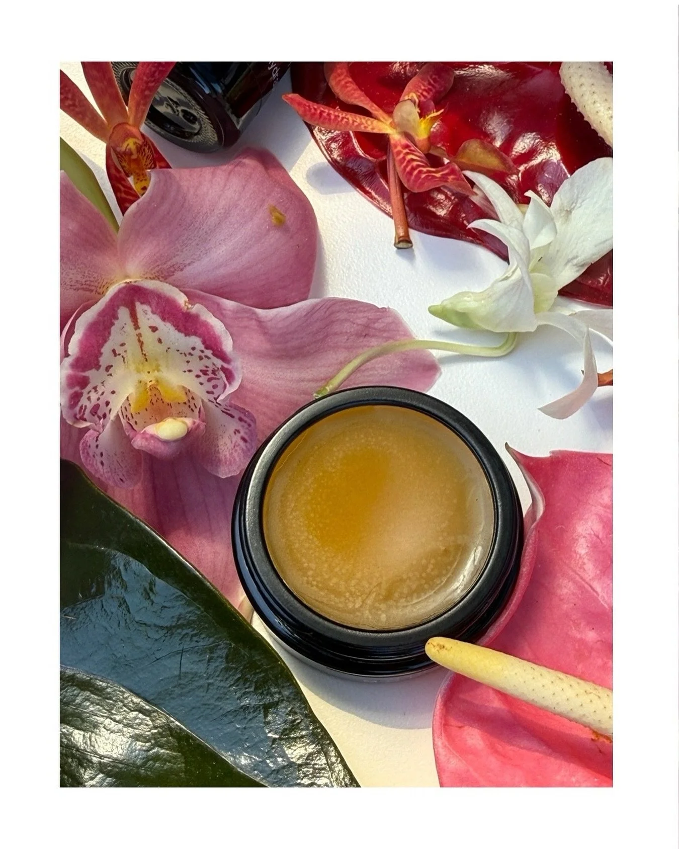 A little jar of tropical decadence.
MOHĀ softens the skin with a melting botanical gel&eacute;e and leaves behind an intoxicating scent. If you haven&rsquo;t tried it, ask for a sample With your next order 🧡