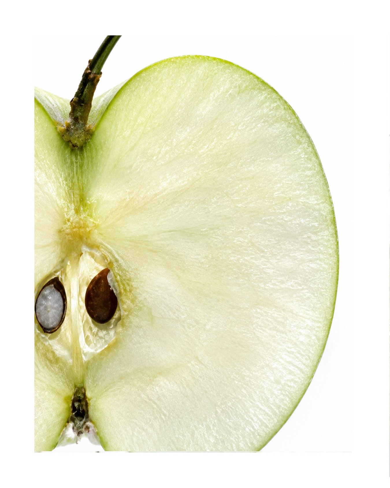 The apple offers more than sweetness 🍏
Apple stem cells and apple extract are rich in antioxidants, working quietly to support skin that has spent long days in the light. An ingredient inside MALIE.
