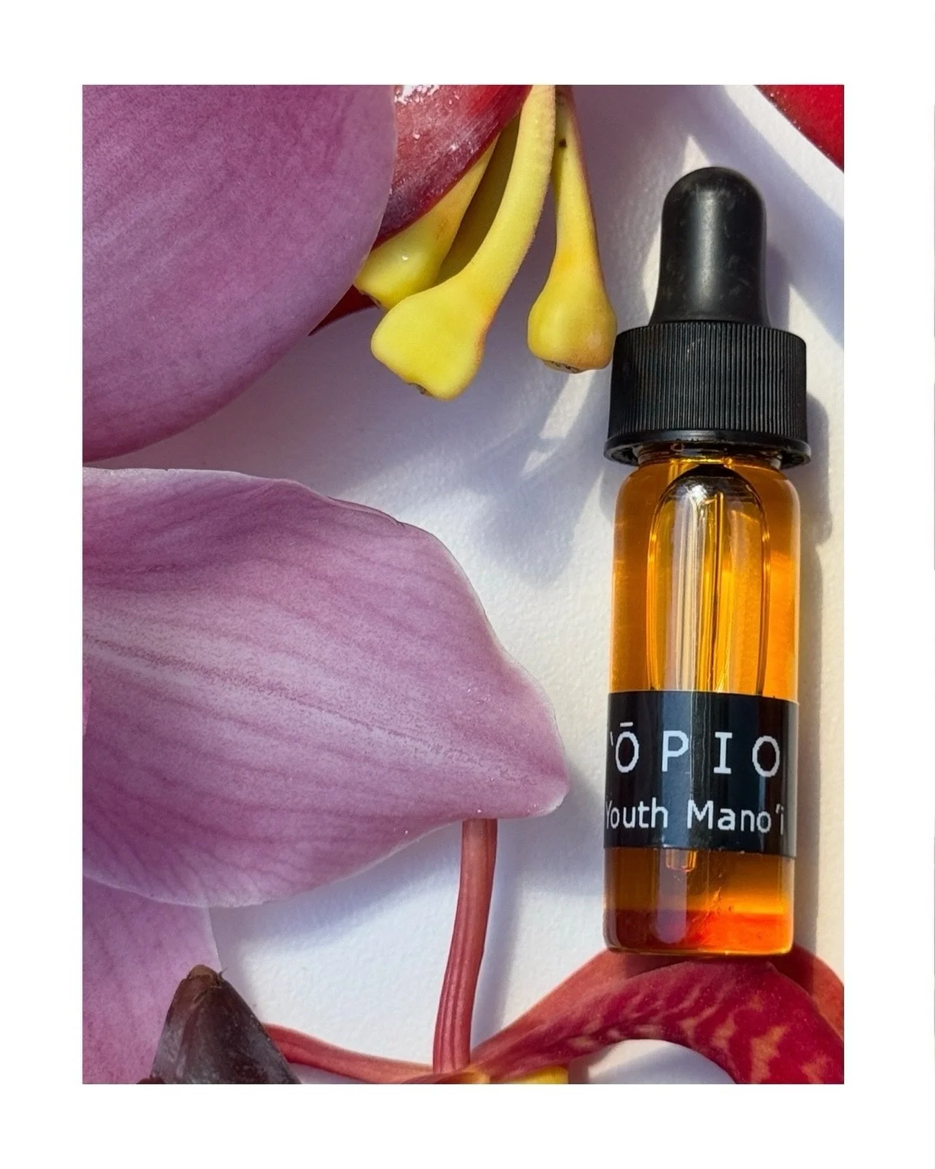 Every Oshan product is a sensory experience~
Trial sizes available for all our products  so you can live inside one before you commit to the full ritual🤍