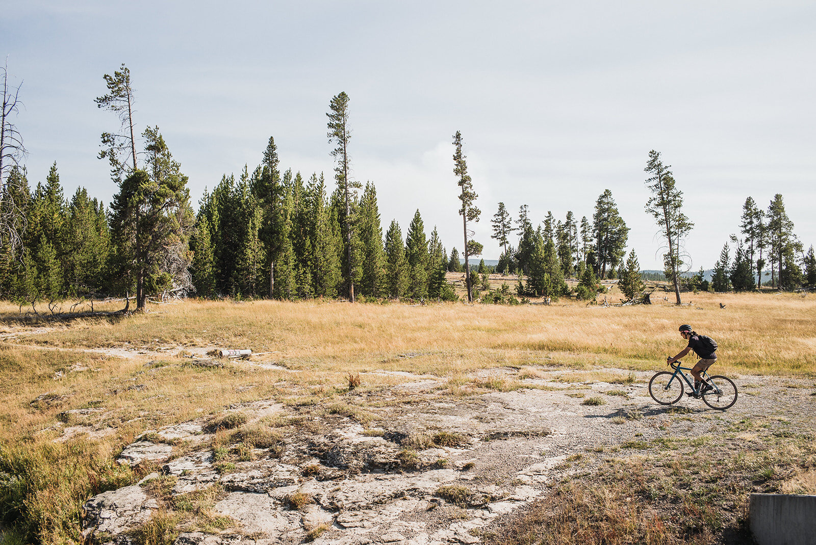 yellowstone-1032.jpg